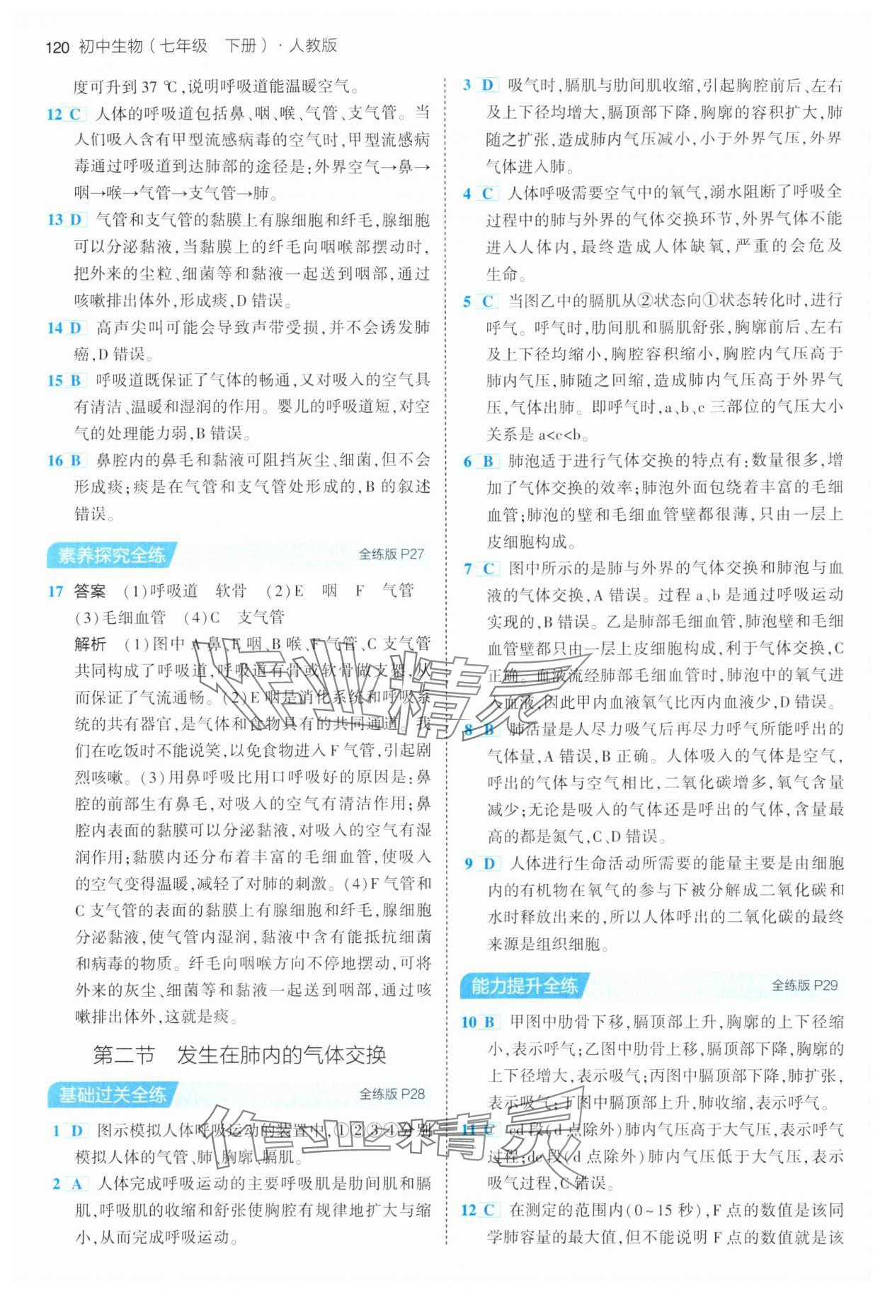 2024年5年中考3年模拟七年级生物下册人教版 参考答案第10页