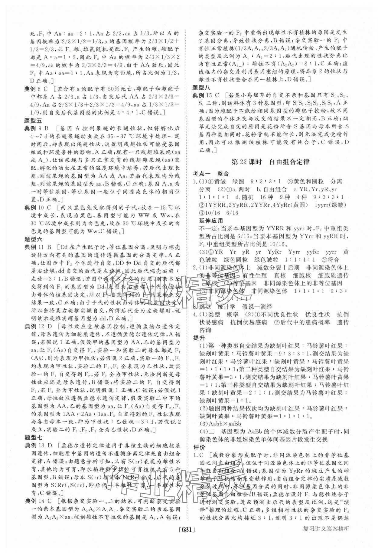 2025年步步高大一輪復習講義高中生物 第23頁