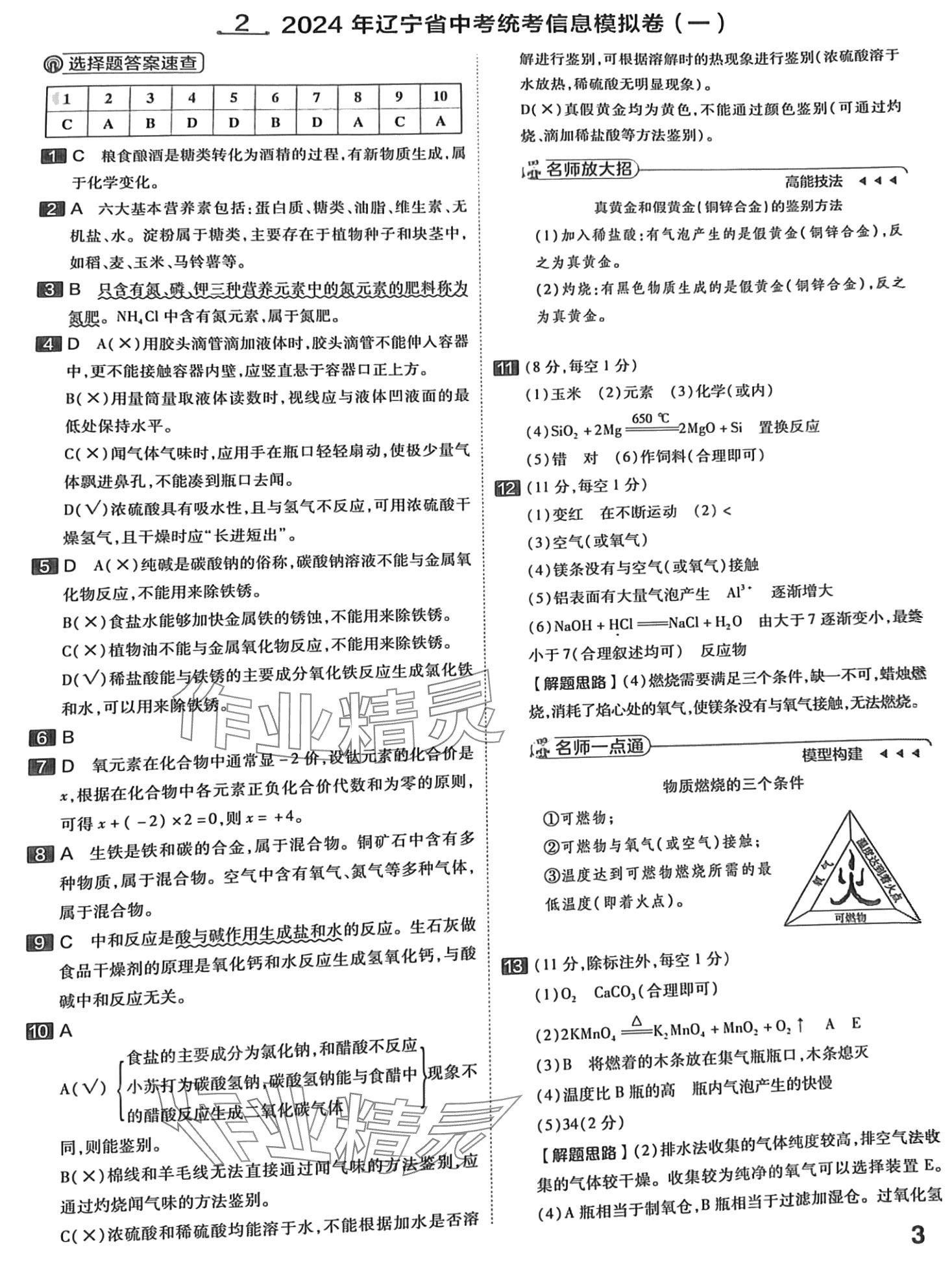 2024年金考卷中考45套匯編化學(xué)遼寧專版 第3頁