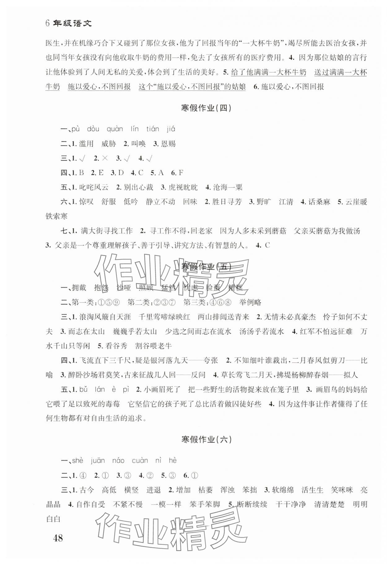 2025年寒假作业培优衔接南京大学出版社六年级语文 第2页