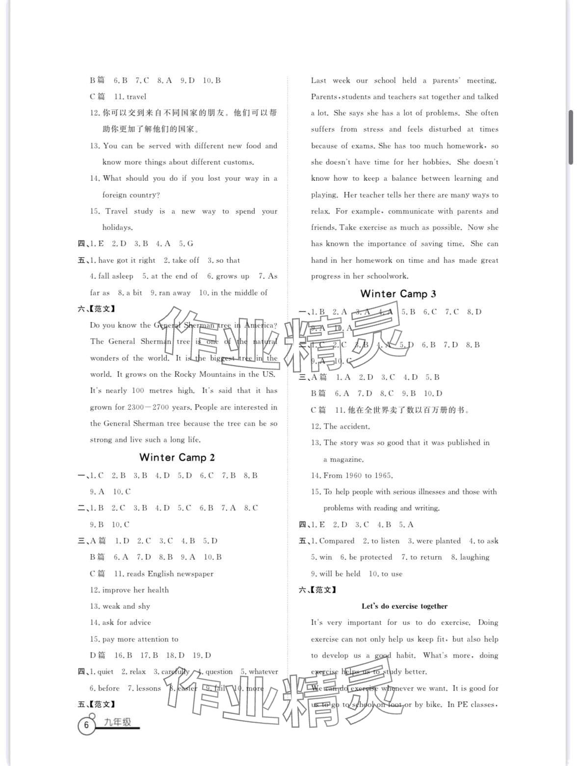 2024年寒假作業(yè)山東文藝出版社九年級(jí) 第6頁(yè)