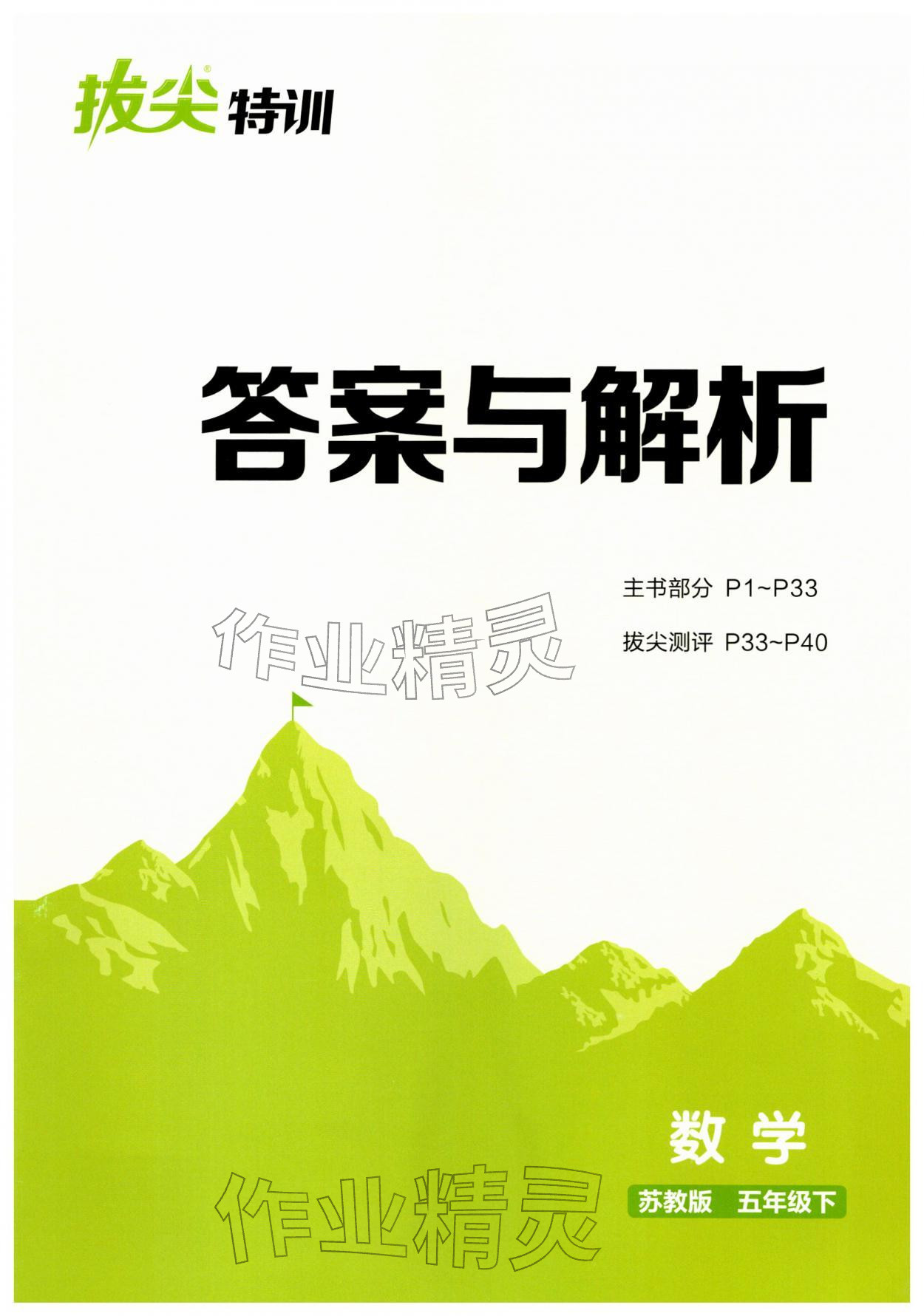 2026年拔尖特训五年级数学下册苏教版&nbsp;第1页