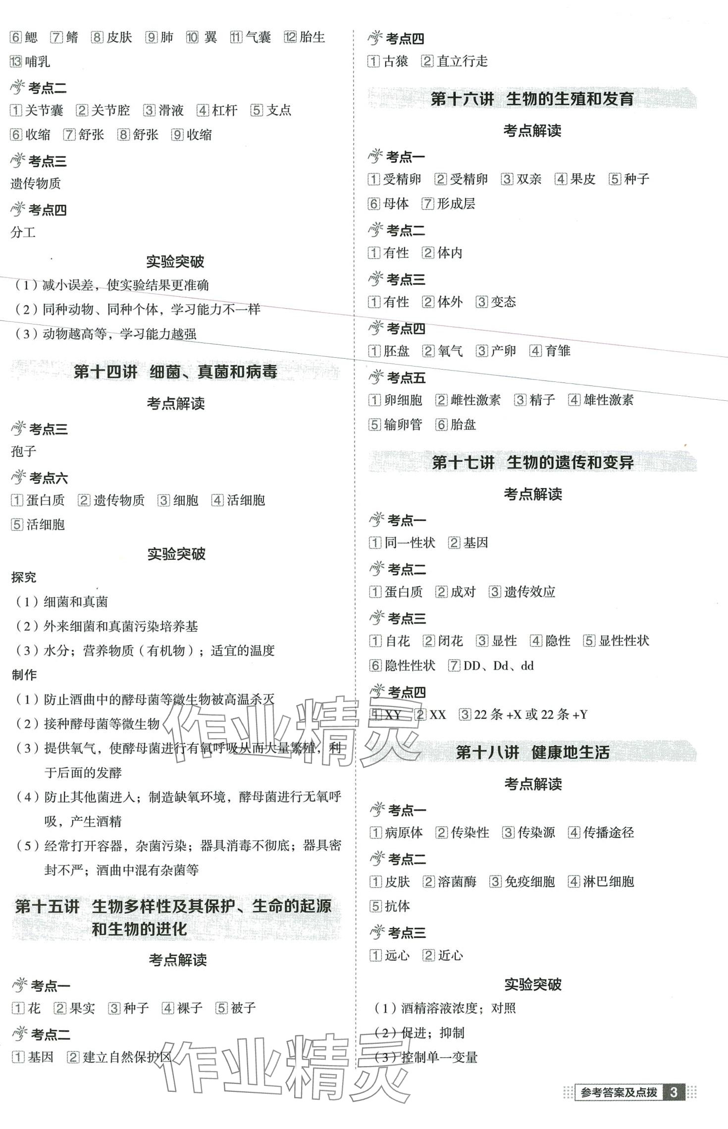 2024年榮德基點撥中考生物H版湖北專版 第3頁