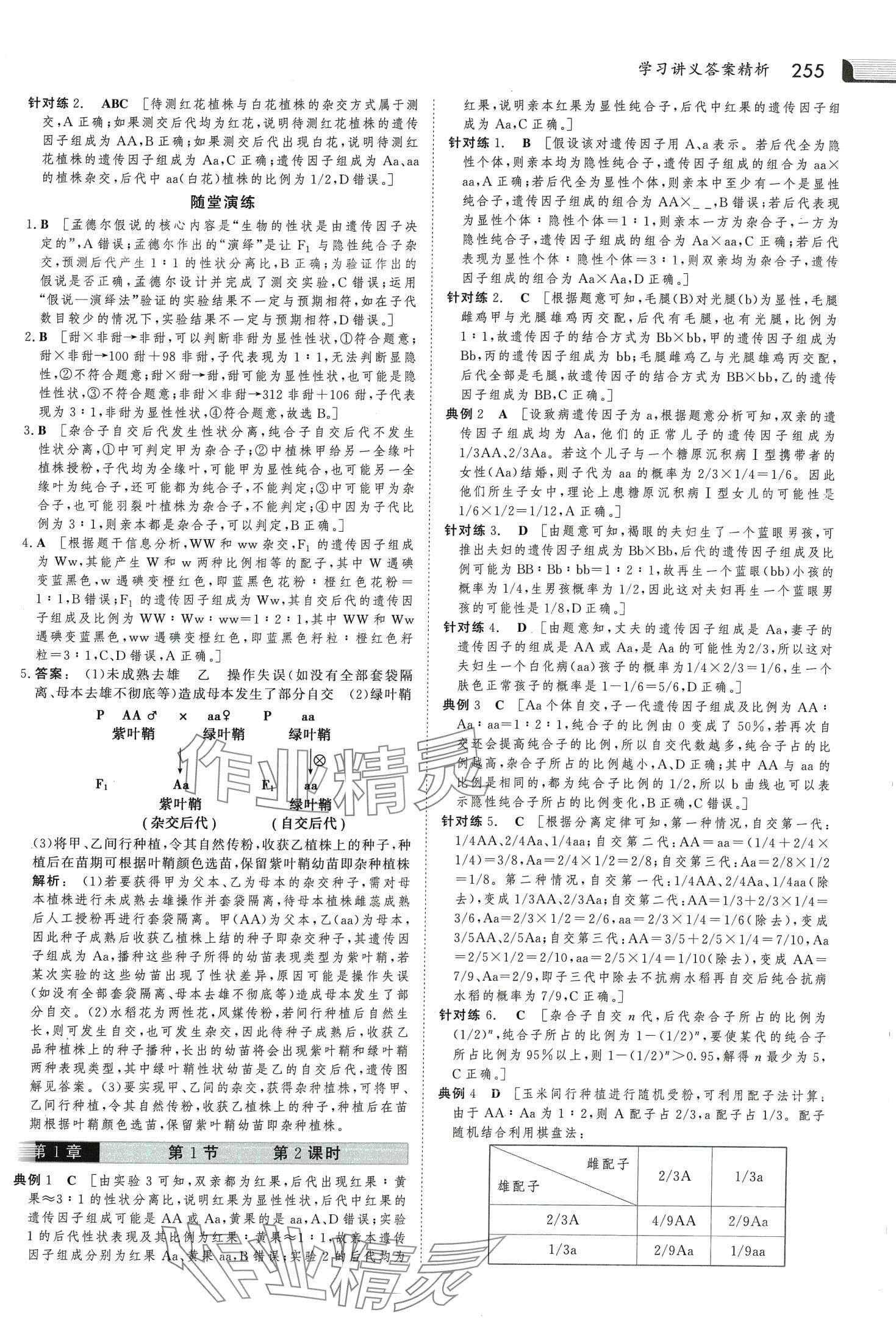 2024年金版新學(xué)案高中生物必修2人教版 第2頁