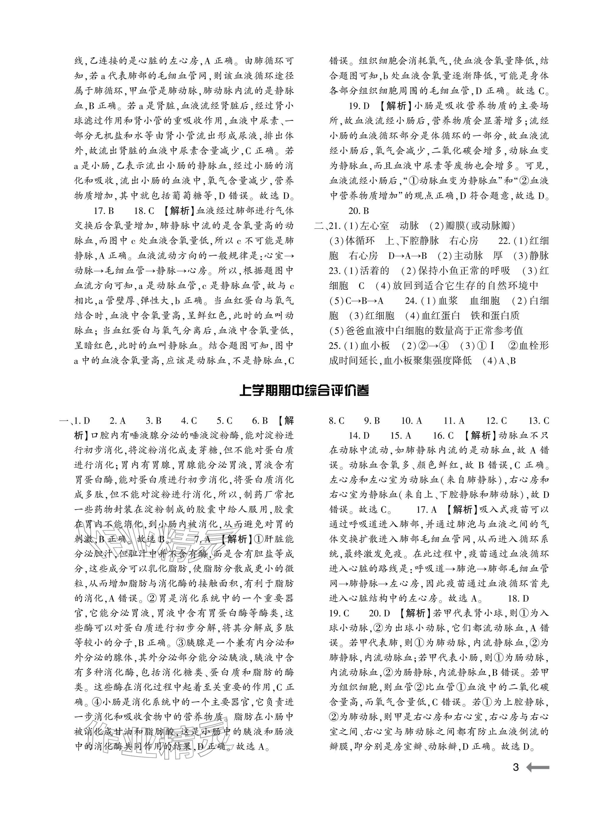 2025年节节高大象出版社八年级生物全一册苏教版 参考答案第3页