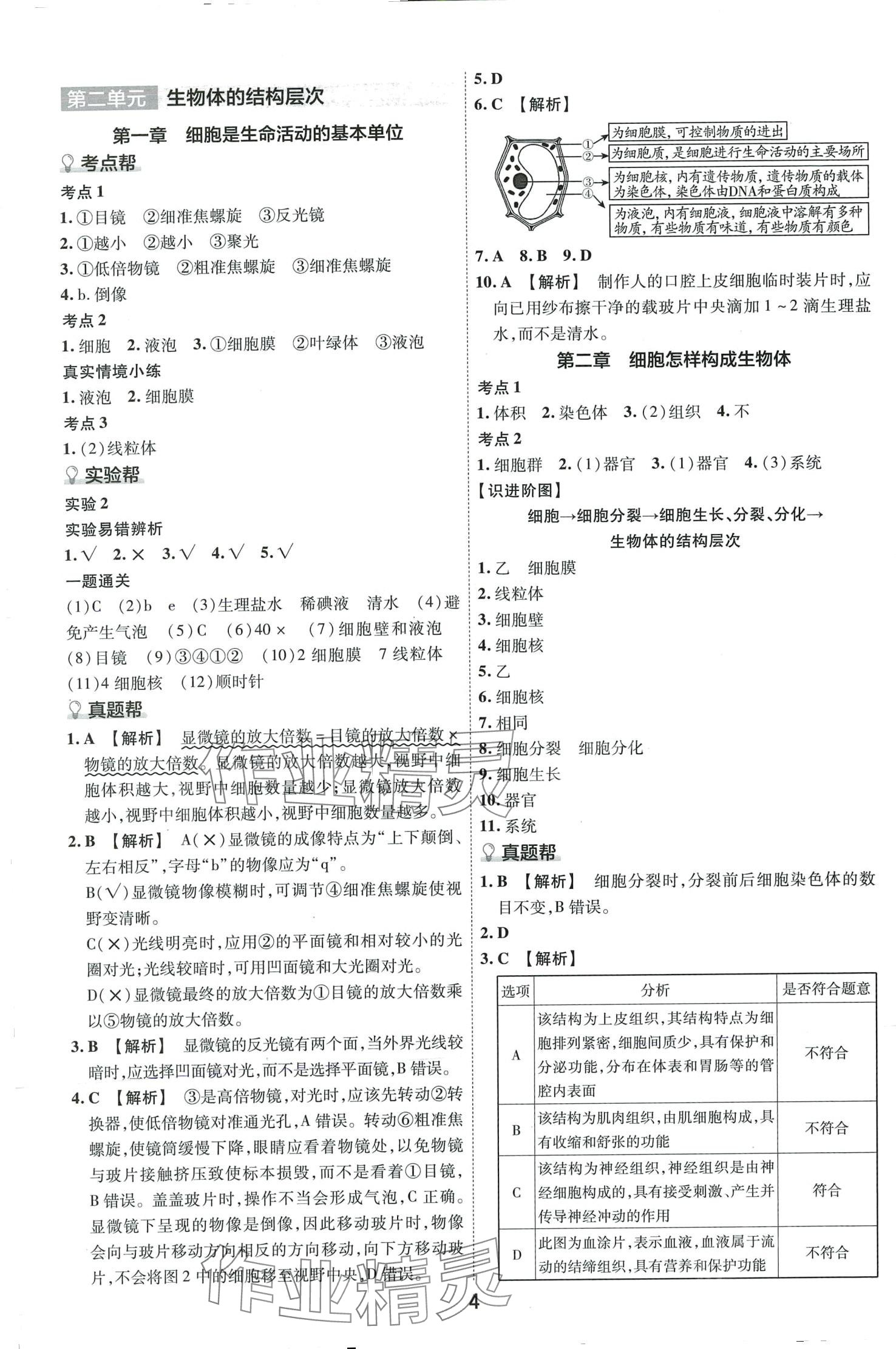 2024年中考幫生物河南專(zhuān)版&nbsp;第3頁(yè)