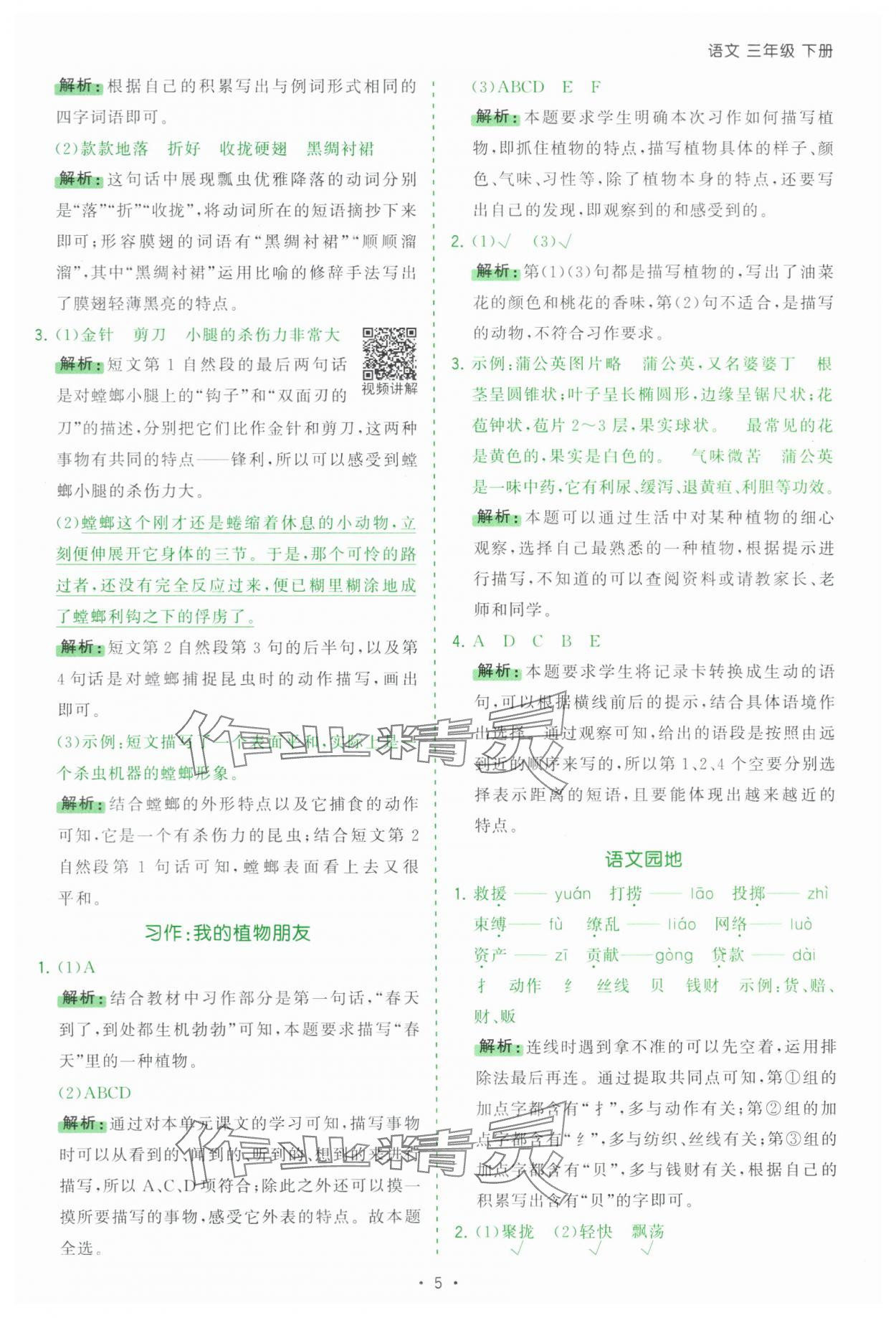 2025年課時(shí)一本通三年級(jí)語(yǔ)文下冊(cè)人教版深圳專(zhuān)版 第5頁(yè)