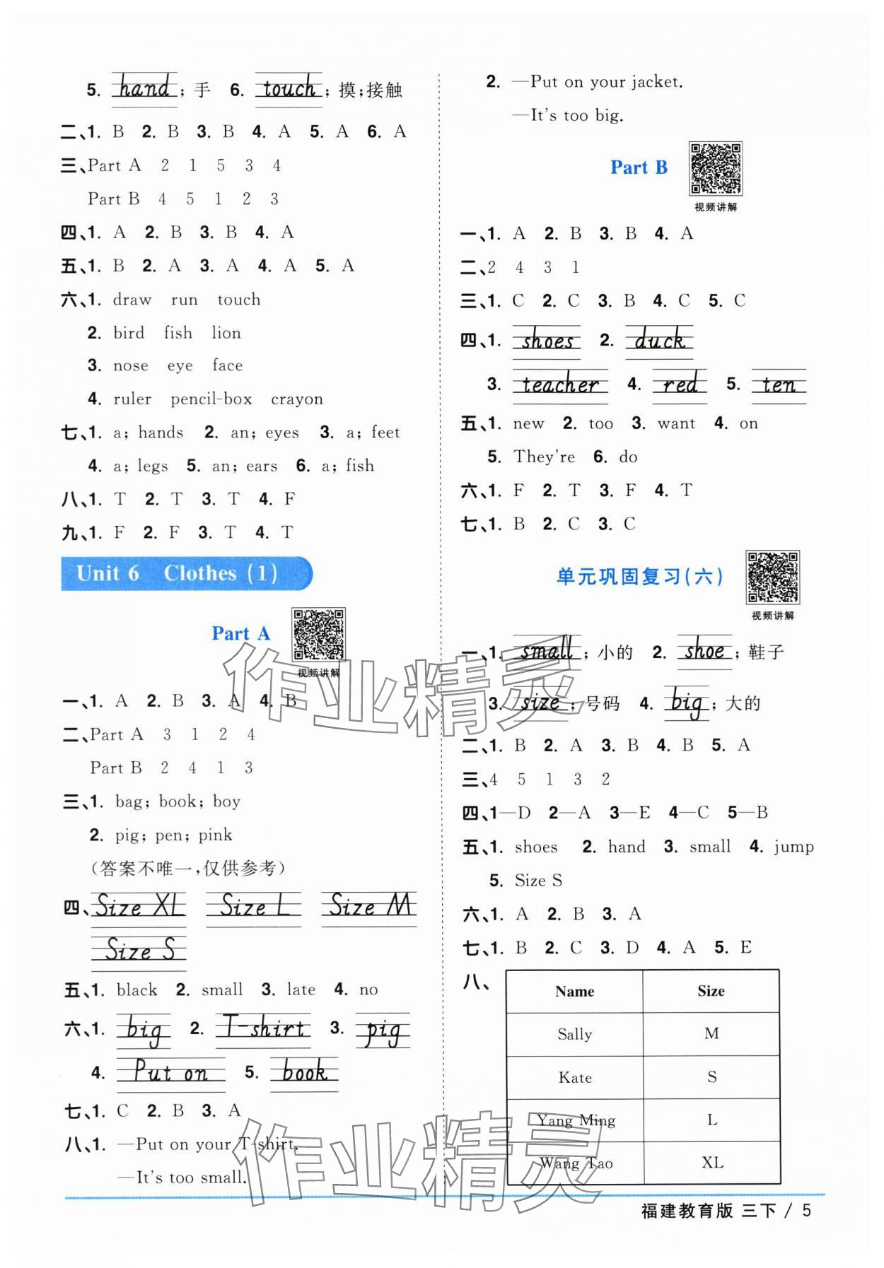 2024年阳光同学课时优化作业三年级英语下册闽教版福建专版&nbsp;参考答案第5页