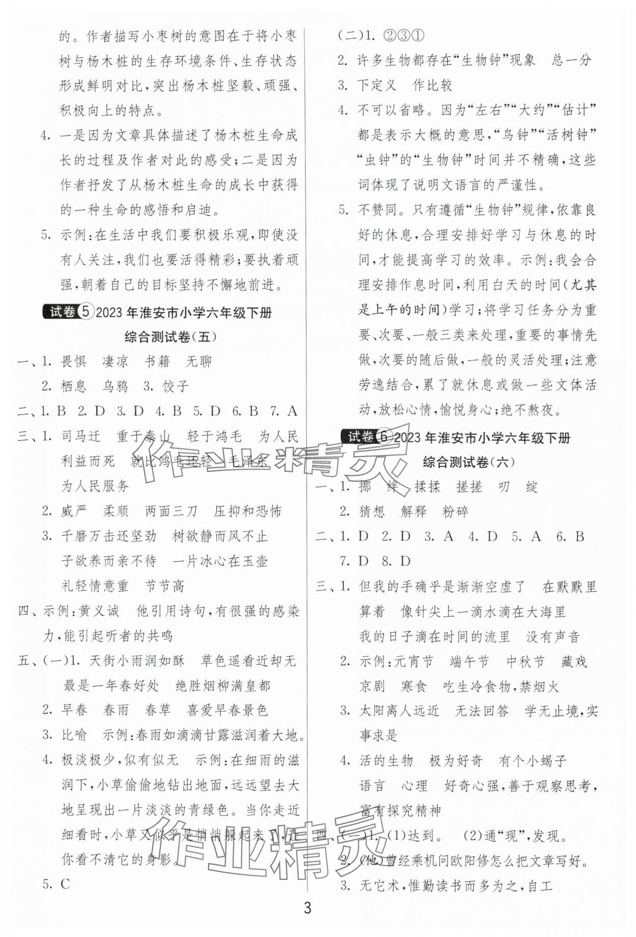 2024年考必勝小學(xué)畢業(yè)升學(xué)考試試卷精選語(yǔ)文淮安專(zhuān)版 第3頁(yè)