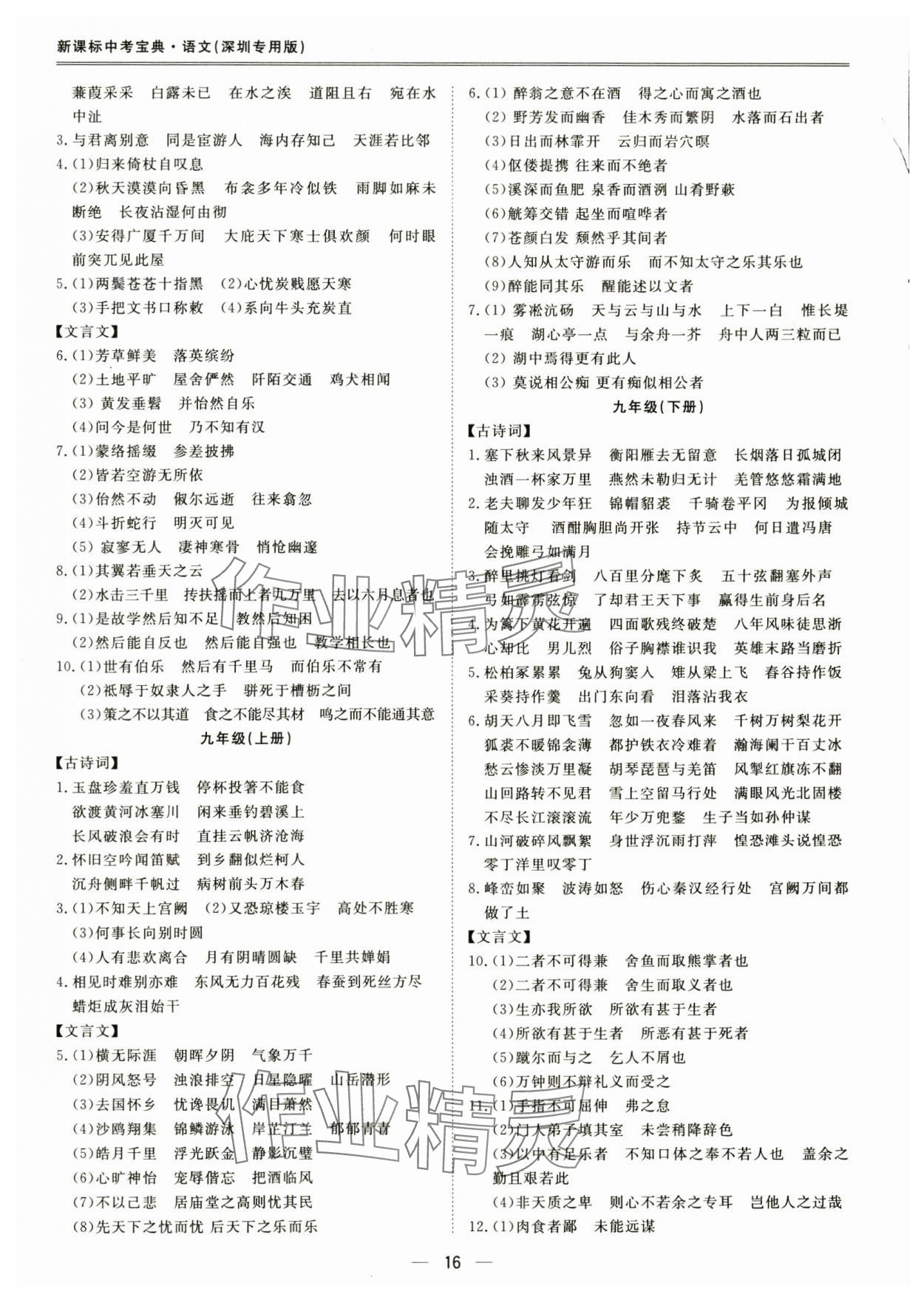 2025年新课标中考宝典语文深圳专用 第16页