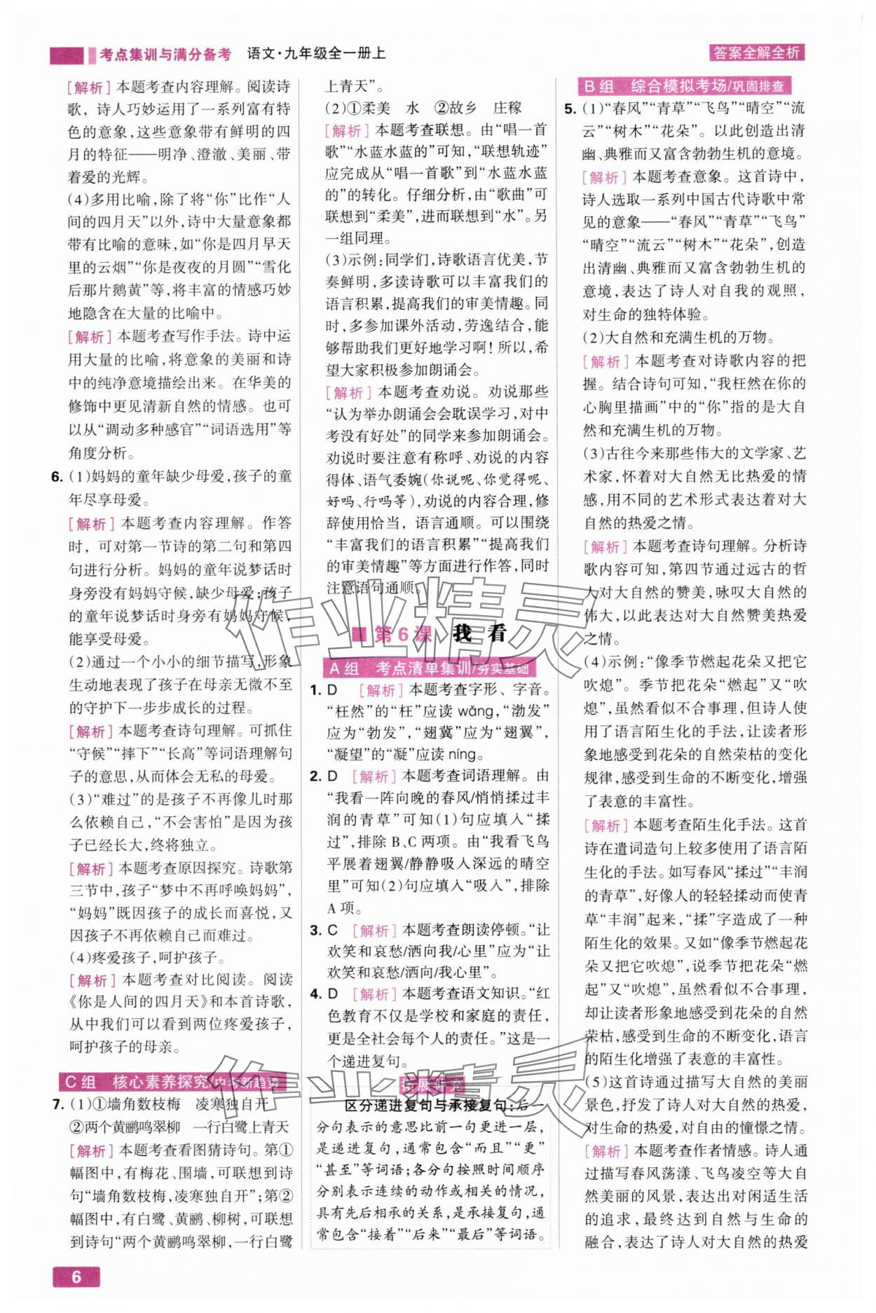 2025年考点集训与满分备考九年级语文全一册上人教版 第6页