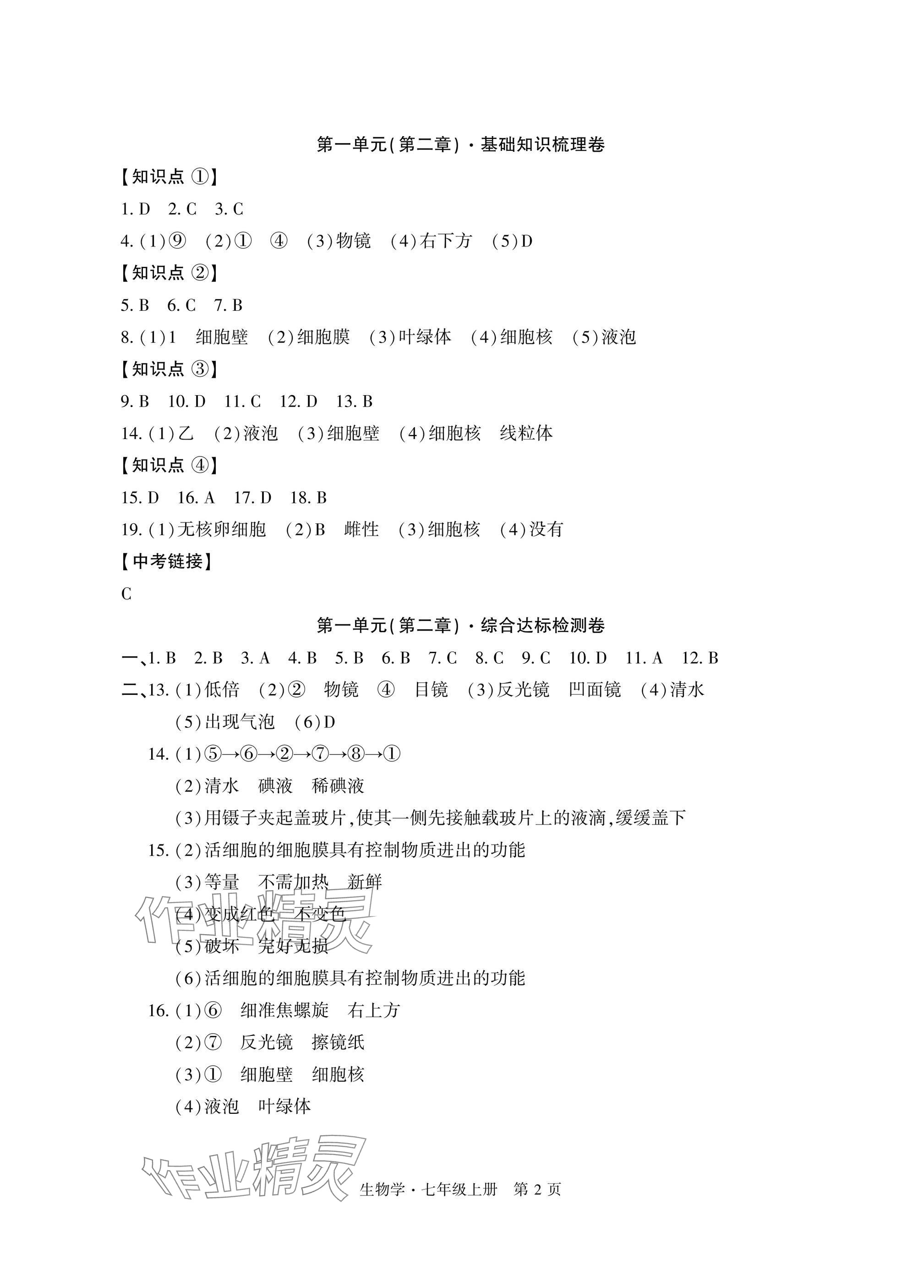 2024年初中同步練習(xí)冊自主測試卷七年級生物上冊人教版 參考答案第2頁