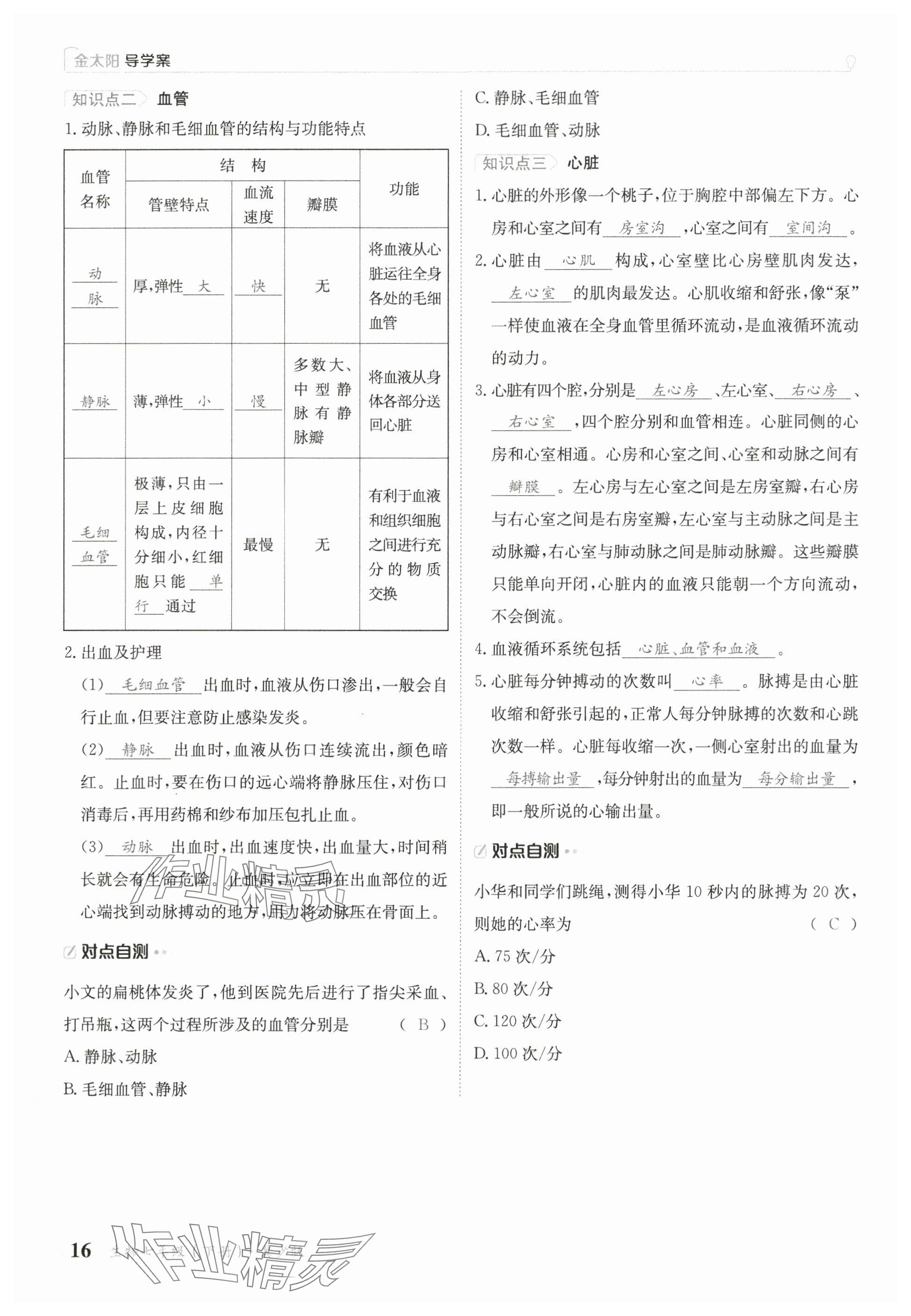 2025年金太陽導學案七年級生物下冊冀少版 參考答案第16頁