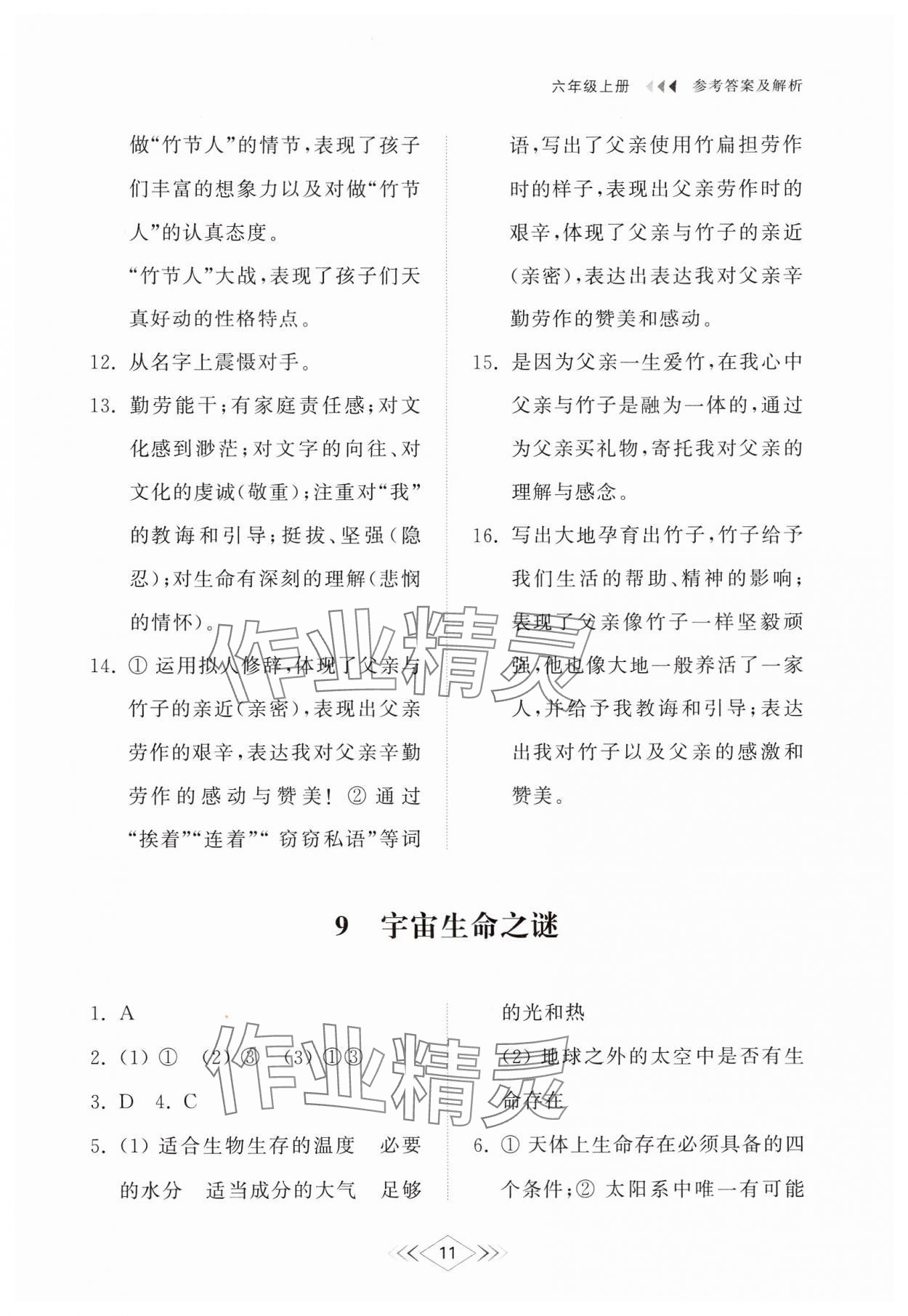 2024年综合能力训练六年级语文上册人教版54制 参考答案第11页