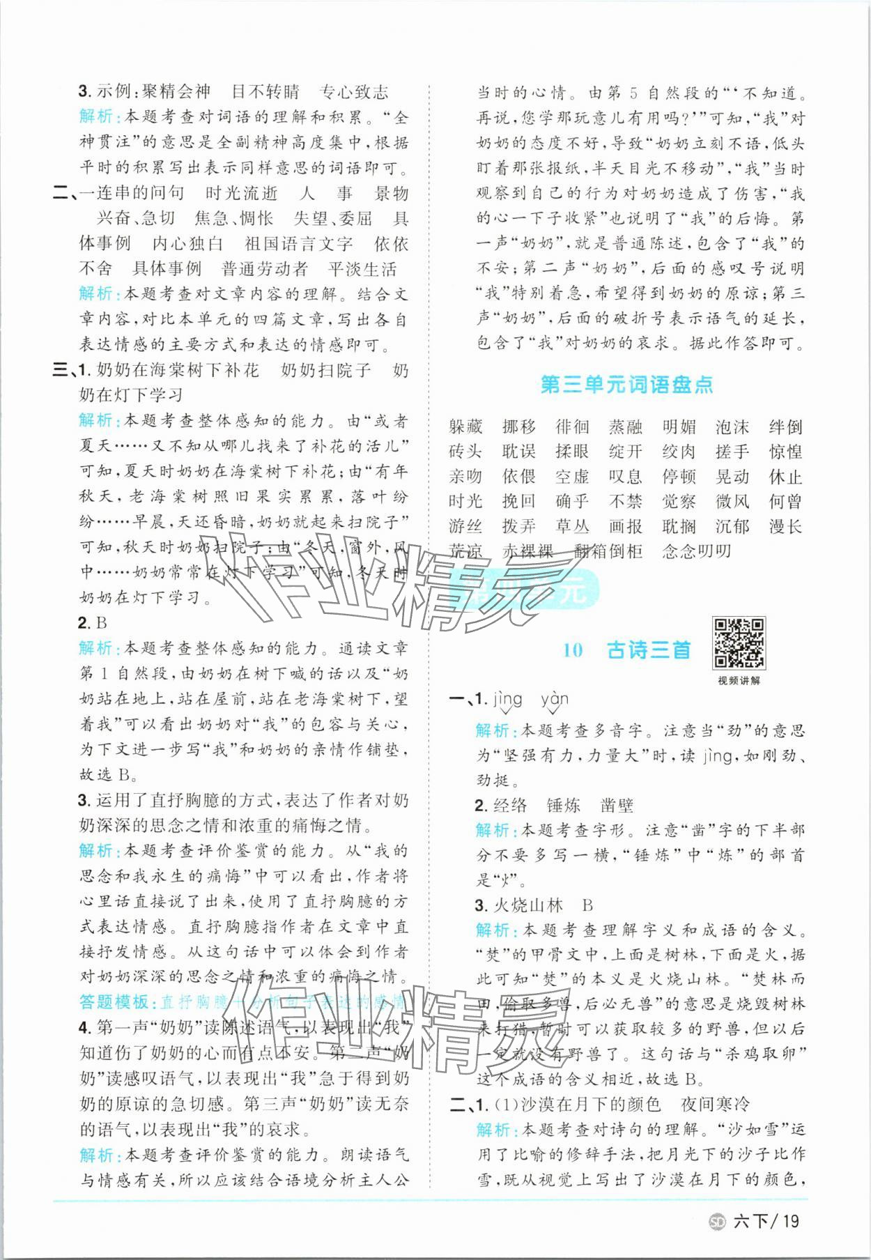 2025年阳光同学课时优化作业六年级语文下册人教版菏泽专版 参考答案第19页