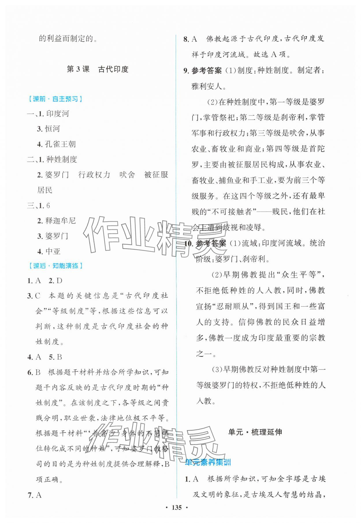 2025年同步精练广东九年级历史全一册人教版 第3页