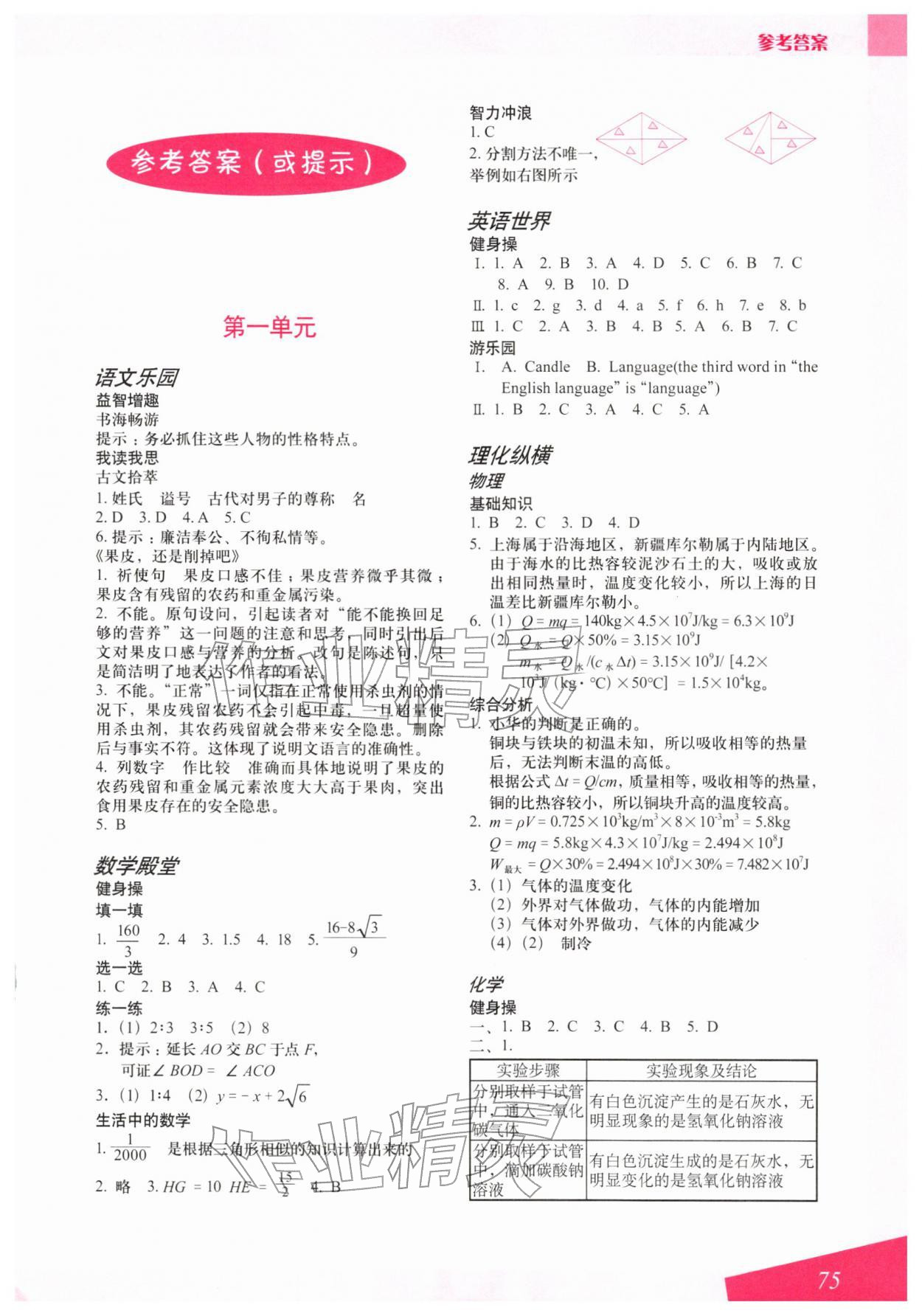 2026年寒假生活上海专用九年级&nbsp;参考答案第1页