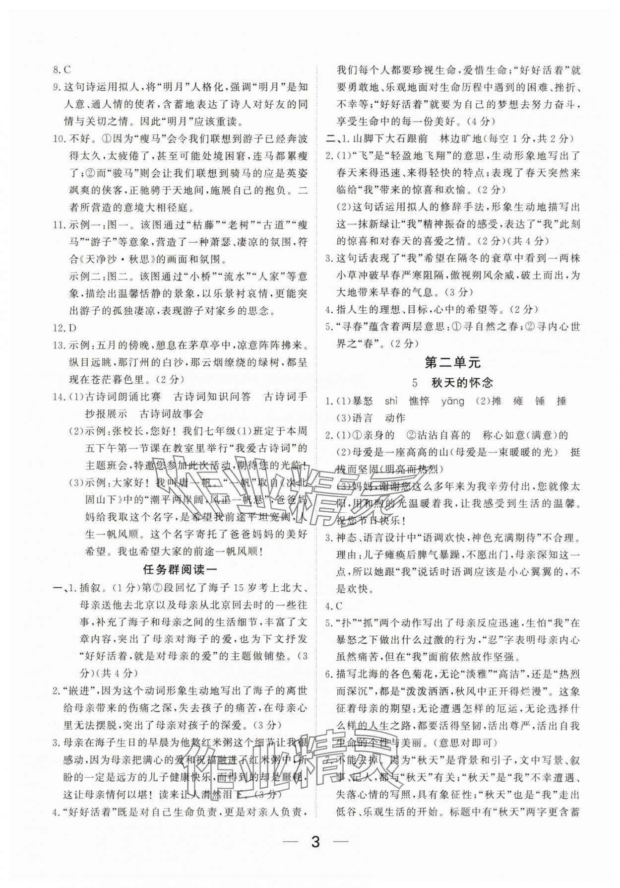 2025年我的作業七年級語文上冊人教版河南專版 參考答案第3頁