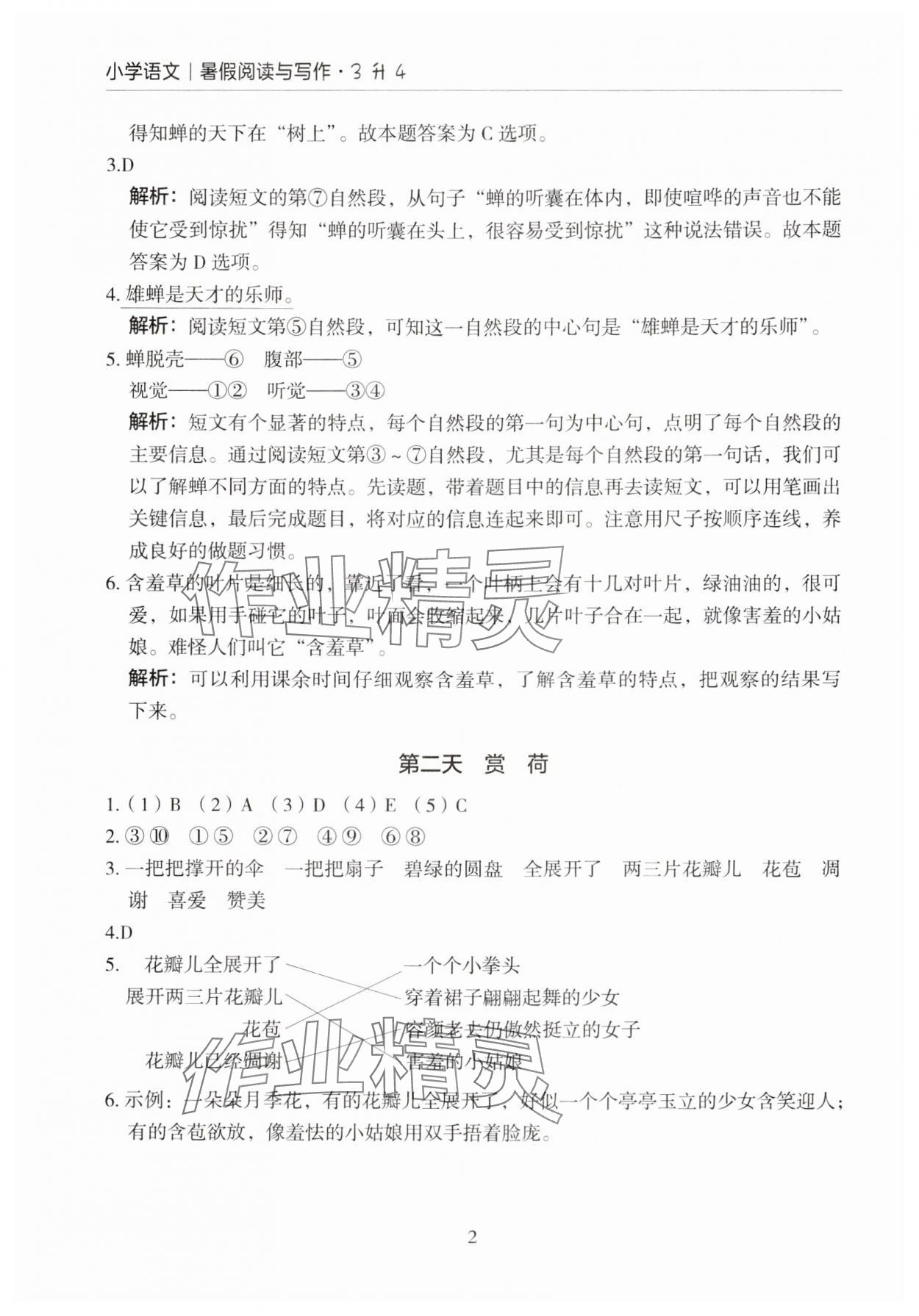 2024年星光阅读暑假阅读与写作三升四语文 参考答案第2页