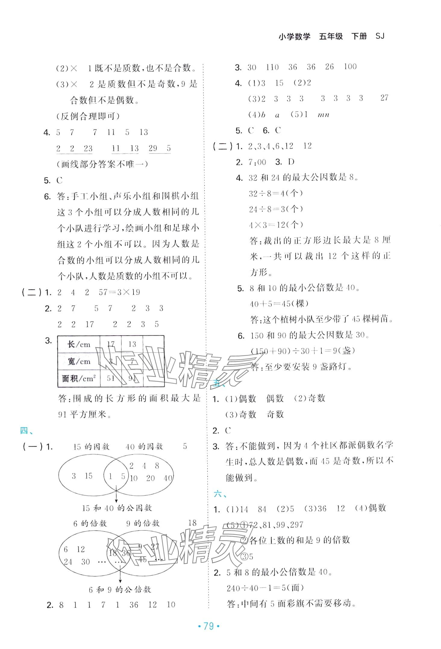 2024年53单元归类复习五年级数学下册苏教版 第5页