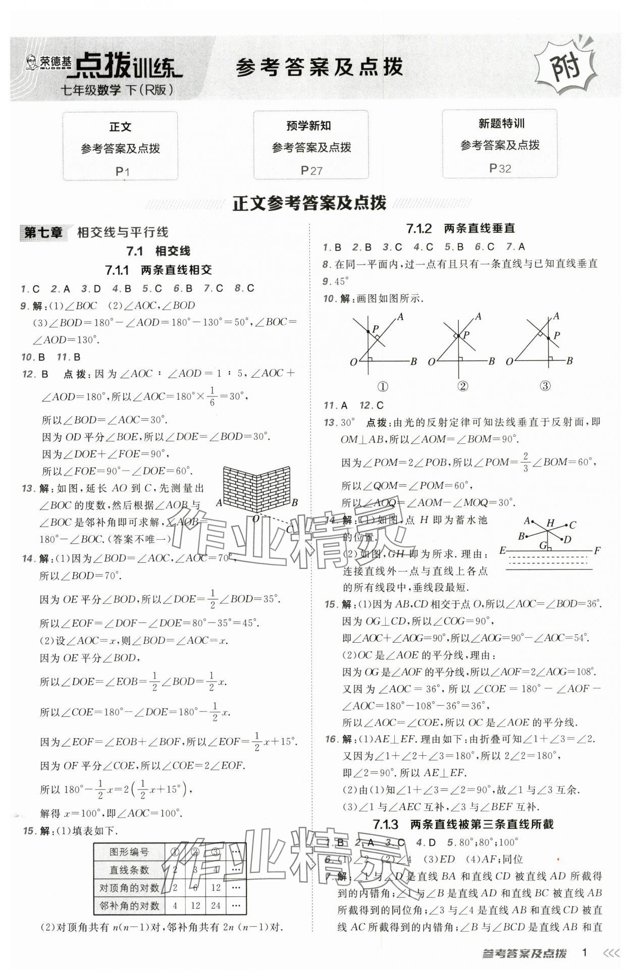 2025年點撥訓(xùn)練七年級數(shù)學(xué)下冊人教版 第1頁