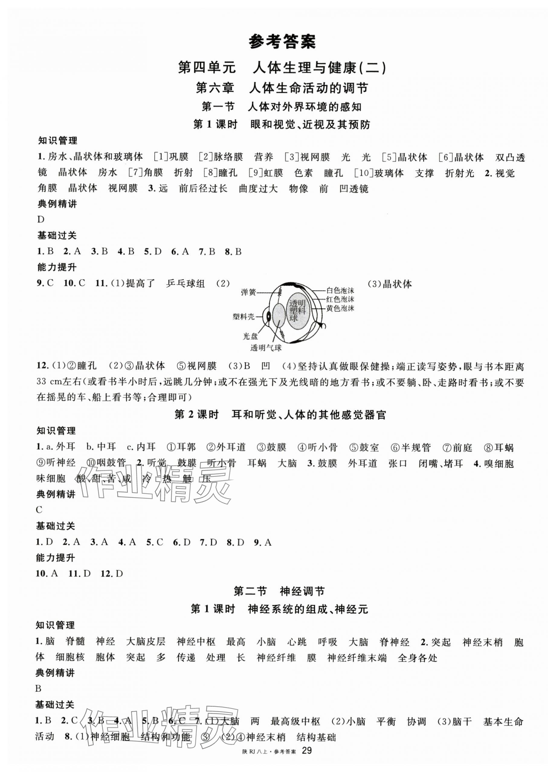 2025年名校課堂八年級生物上冊人教版陜西專版 第1頁