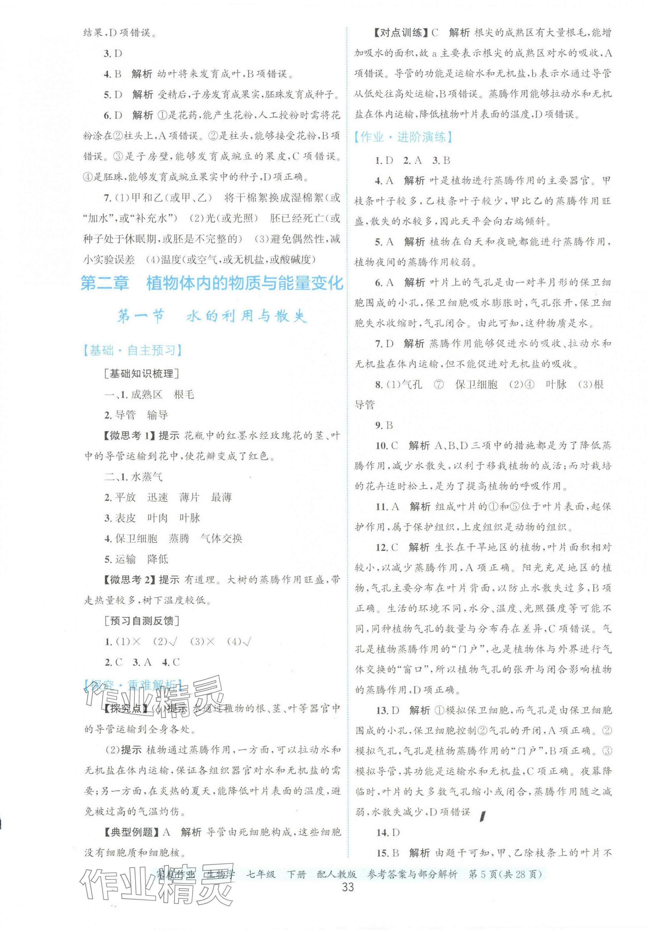 2025年家庭作业七年级生物下册人教版 第5页