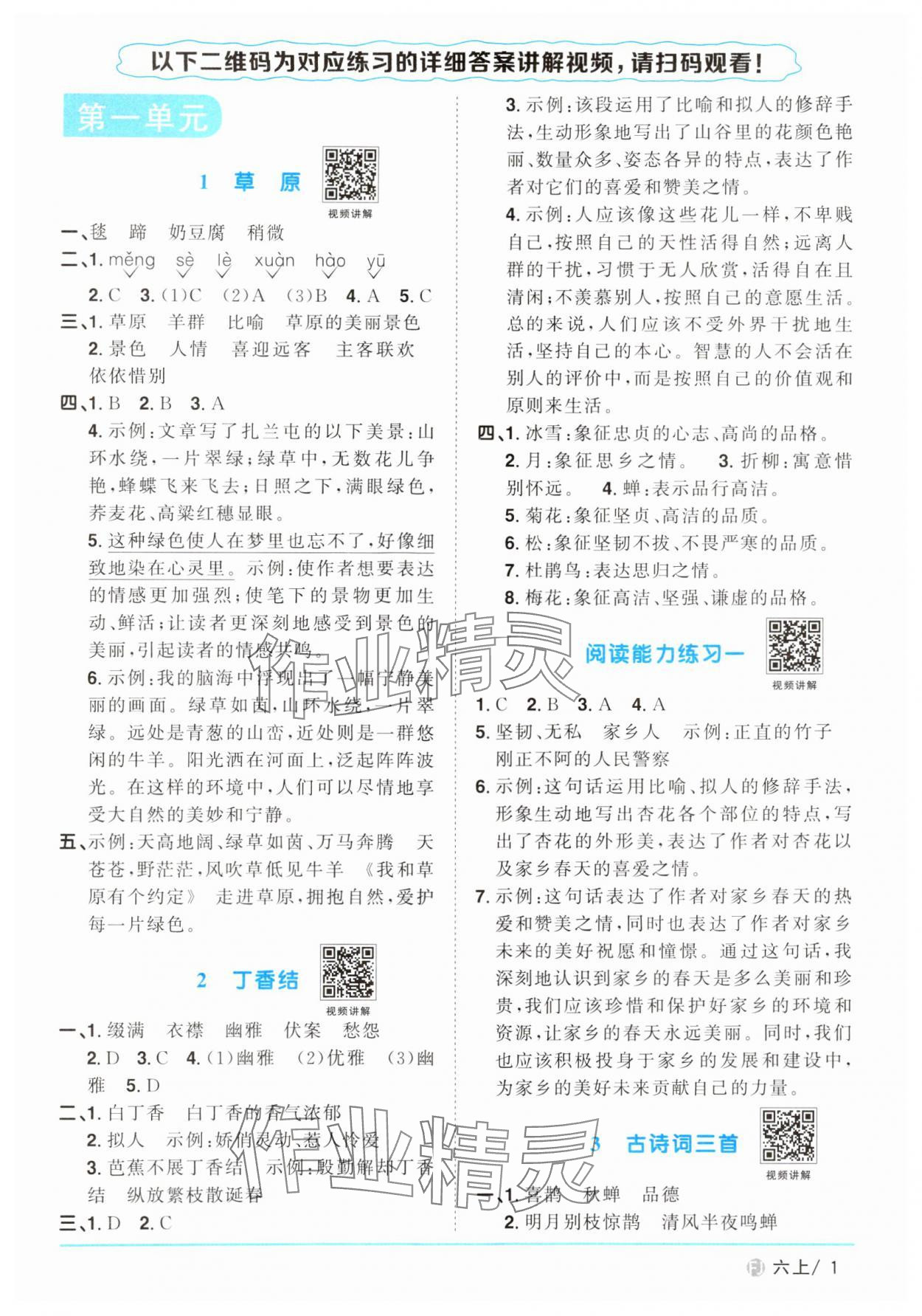 2024年阳光同学课时优化作业六年级语文上册人教版福建专版 参考答案第1页