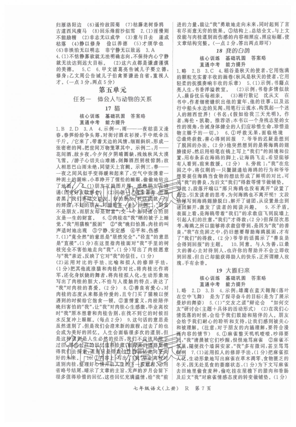 2025年啟航新課堂七年級(jí)語(yǔ)文上冊(cè)人教版 參考答案第7頁(yè)