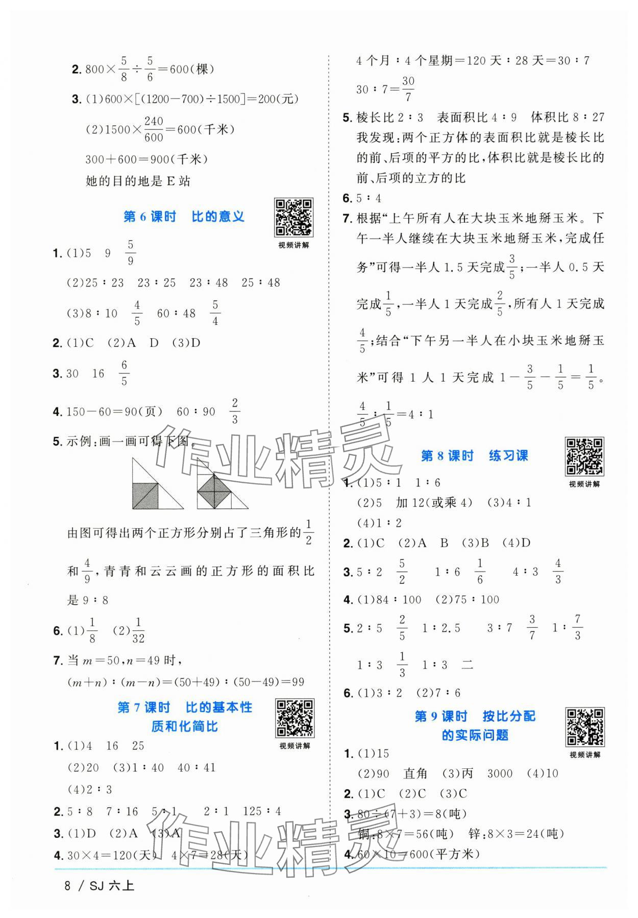 2025年陽光同學(xué)課時優(yōu)化作業(yè)六年級數(shù)學(xué)上冊蘇教版 第8頁