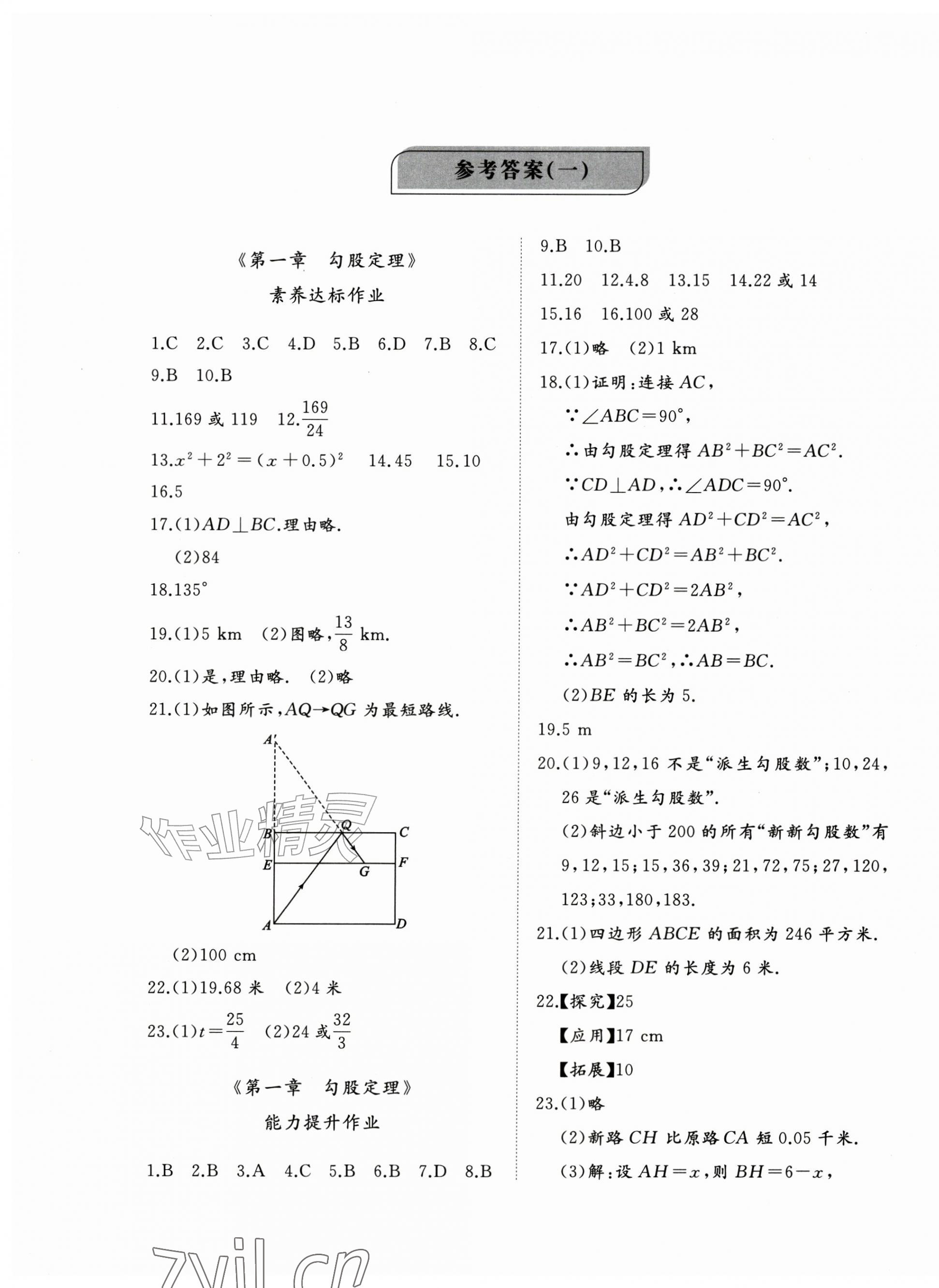 2026年精练课堂分层作业八年级数学上册北师大版&nbsp;第1页