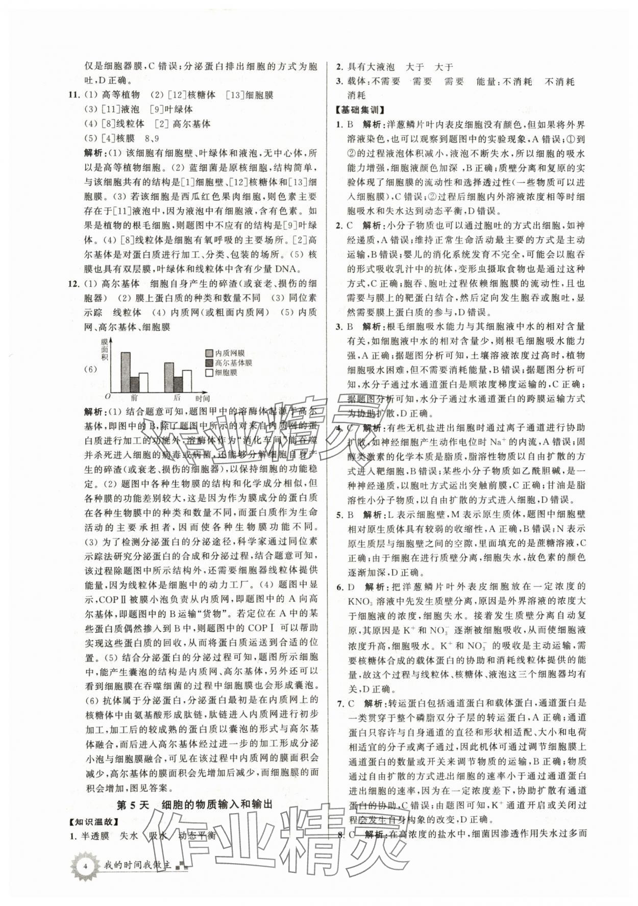 2024年最高考寒假作業(yè)高一生物 第4頁