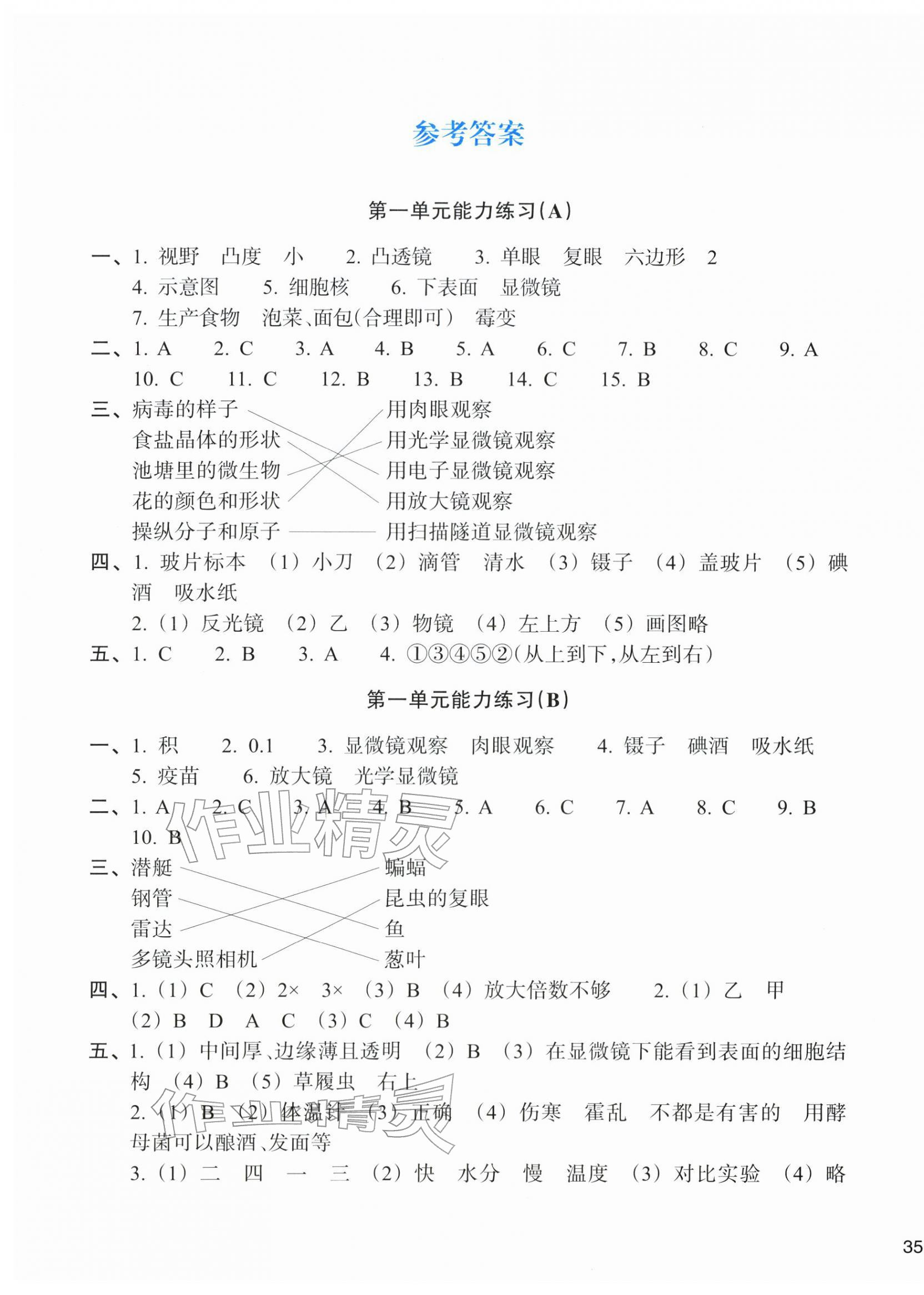 2025年新编单元能力训练六年级科学上册教科版 第1页
