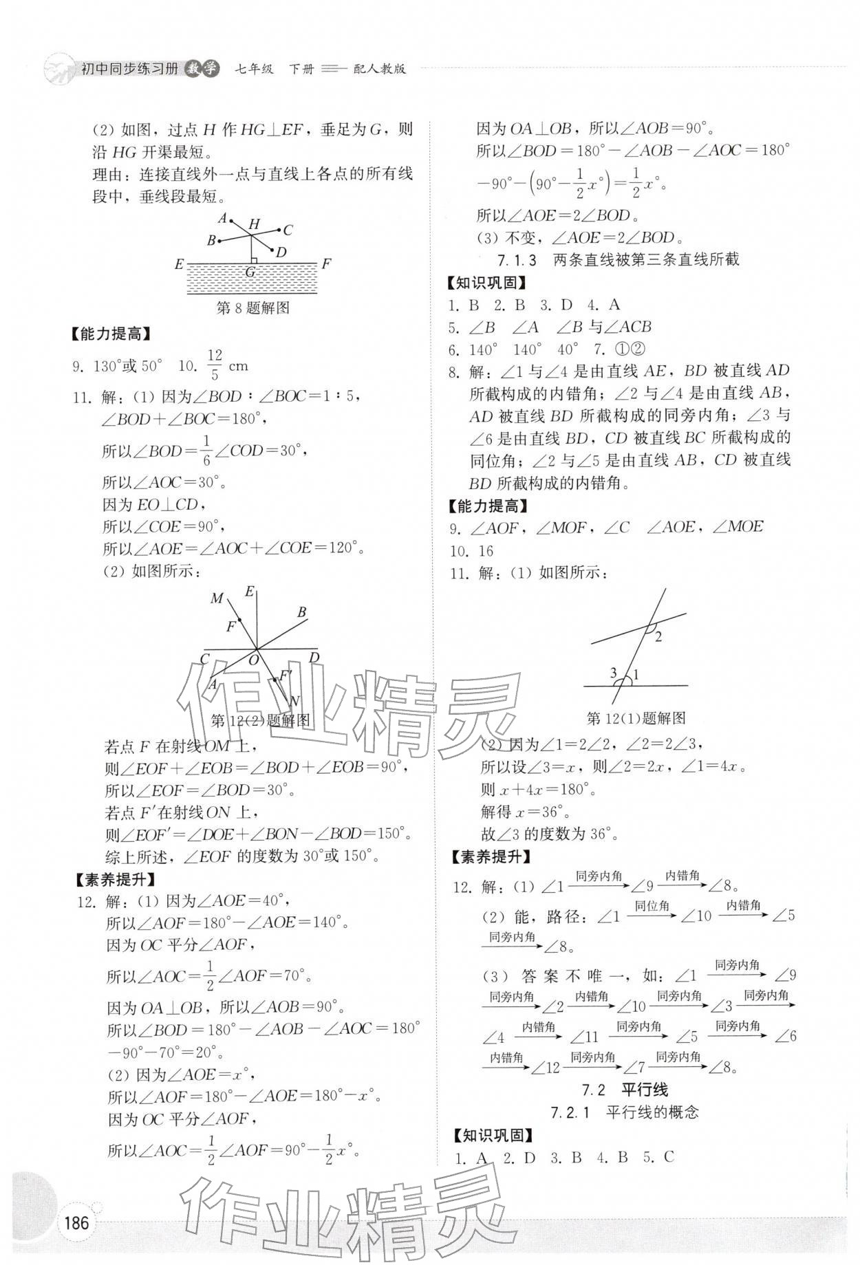 2026年同步练习册山东教育出版社七年级数学下册人教版&nbsp;第2页