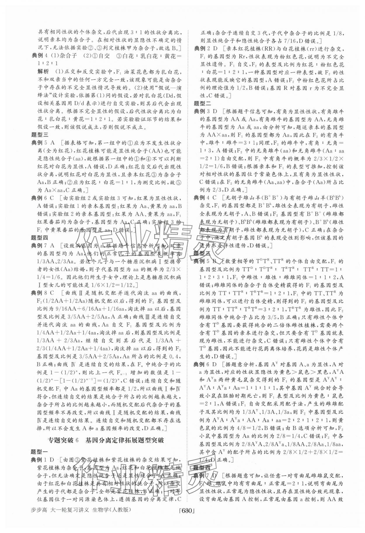 2025年步步高大一輪復習講義高中生物 第22頁