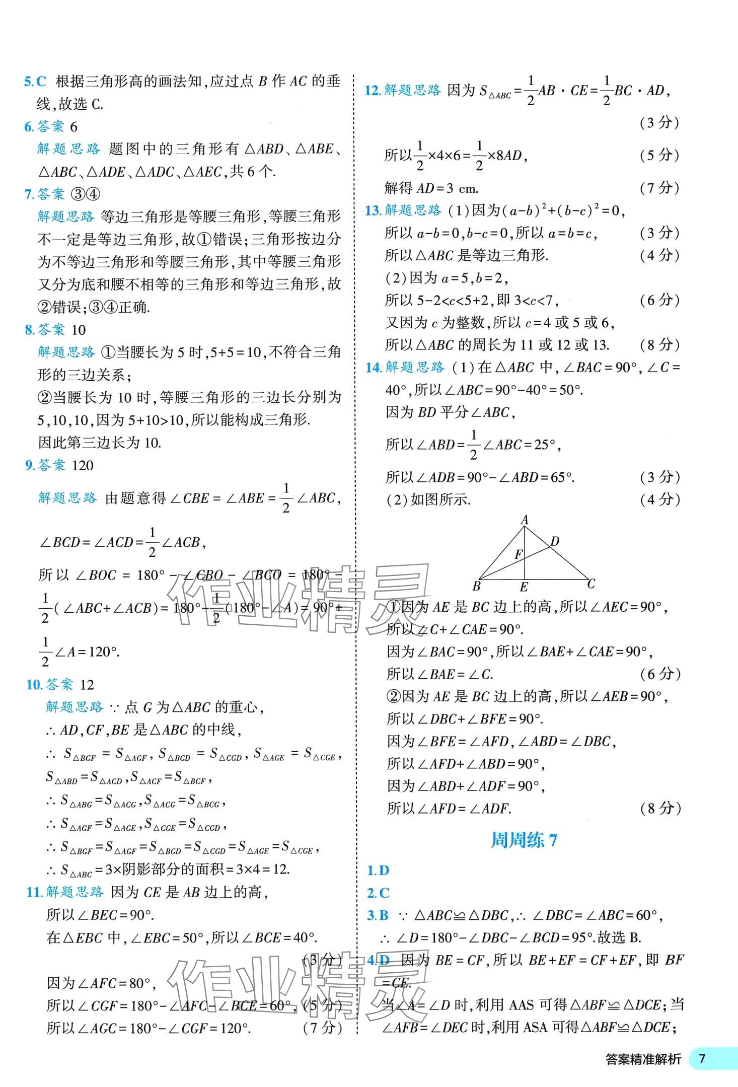 2024年53全優(yōu)卷七年級數(shù)學下冊北師大版 第7頁