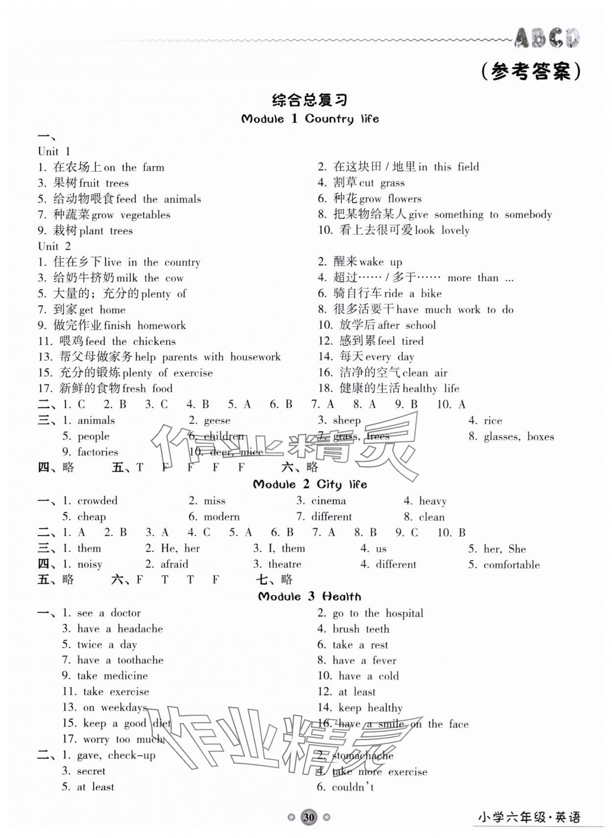 2025年嶺南讀寫期末訓(xùn)練營六年級英語 第1頁