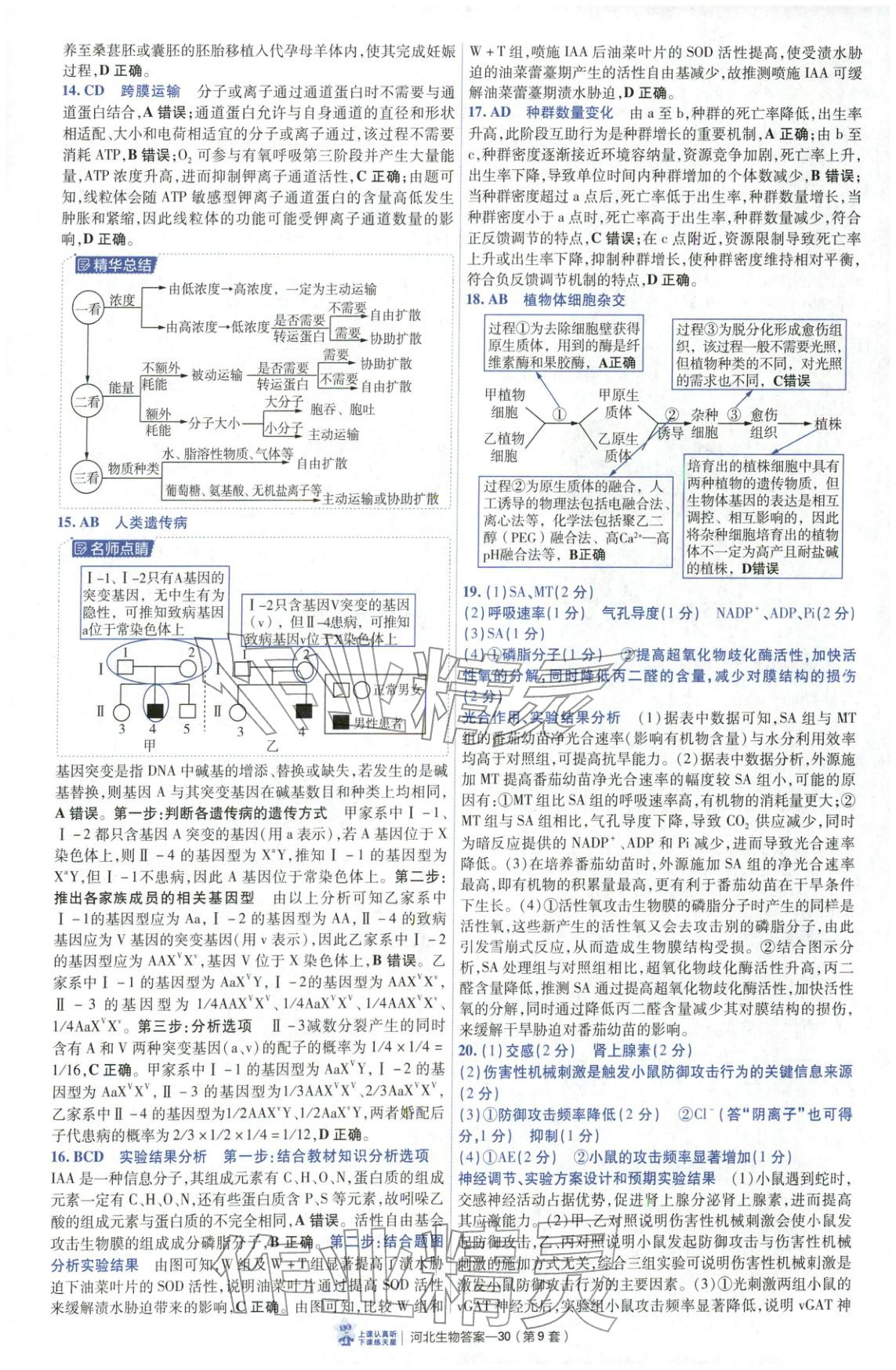 2026年金考卷优秀模拟试卷汇编45套高中生物河北专版 第30页