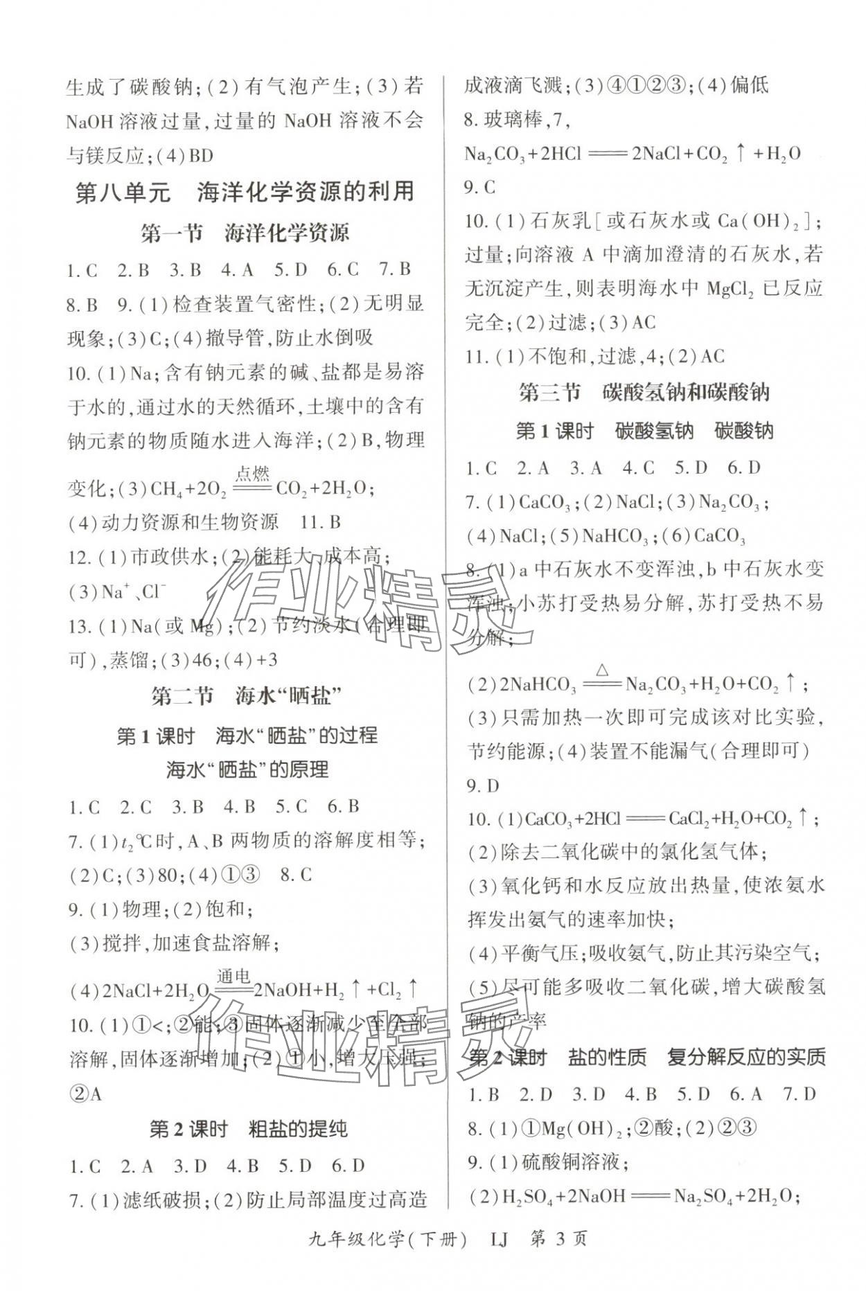 2025年啟航新課堂九年級化學下冊魯教版 參考答案第3頁