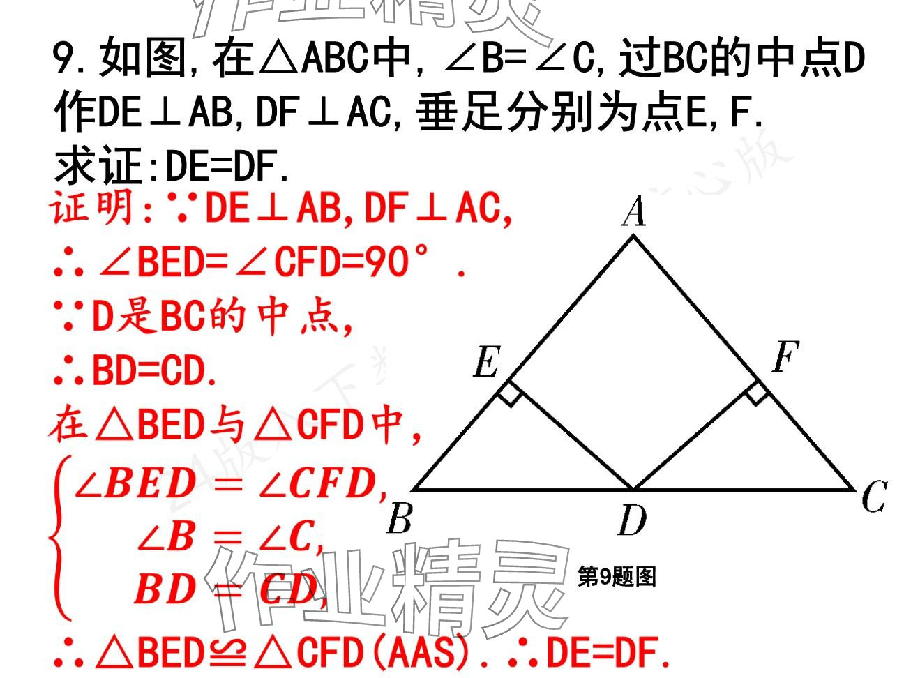 2025年一本通武漢出版社八年級數(shù)學(xué)下冊北師大版核心板 參考答案第12頁