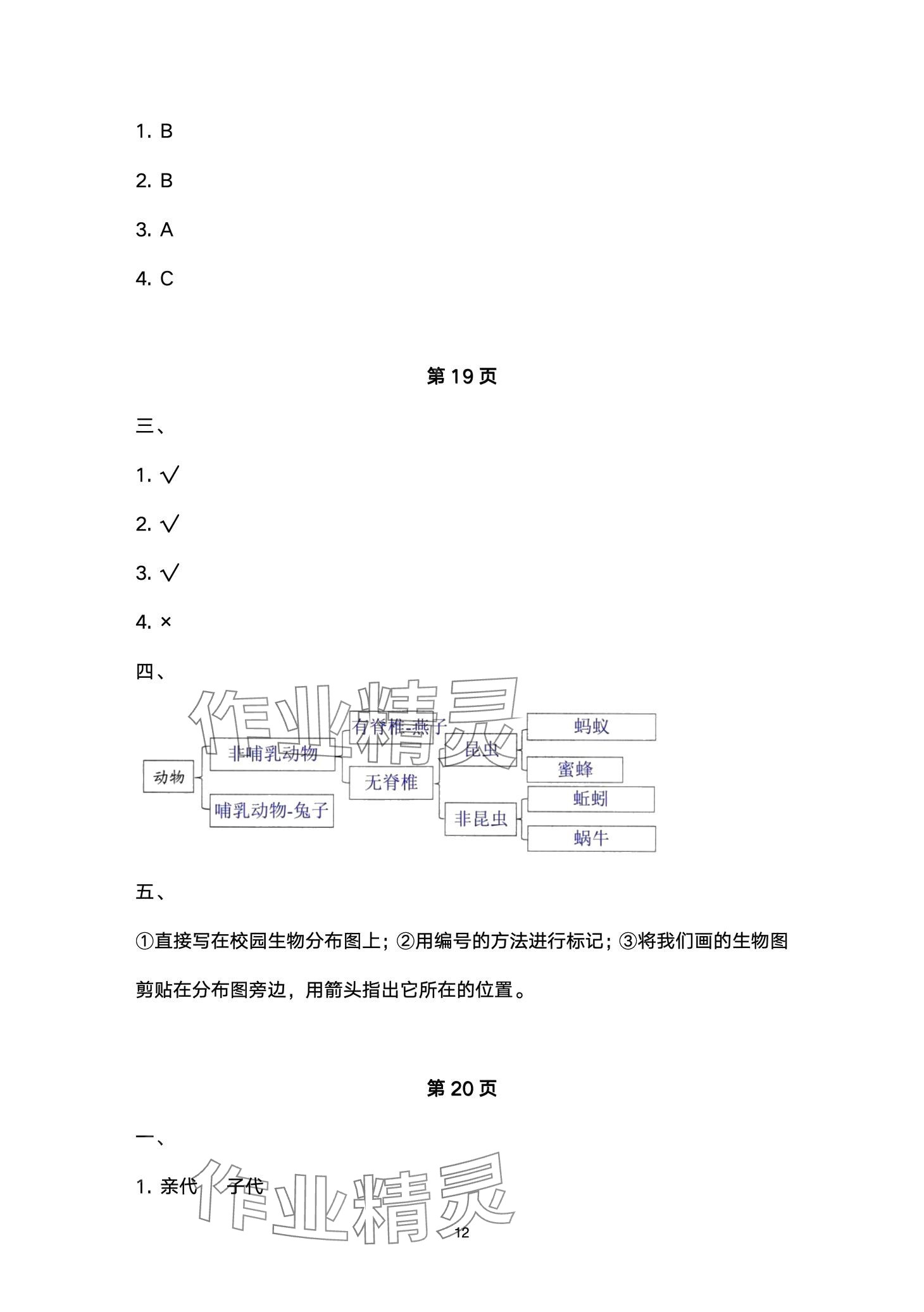 2024年云南省标准教辅同步指导训练与检测六年级科学下册教科版 第12页