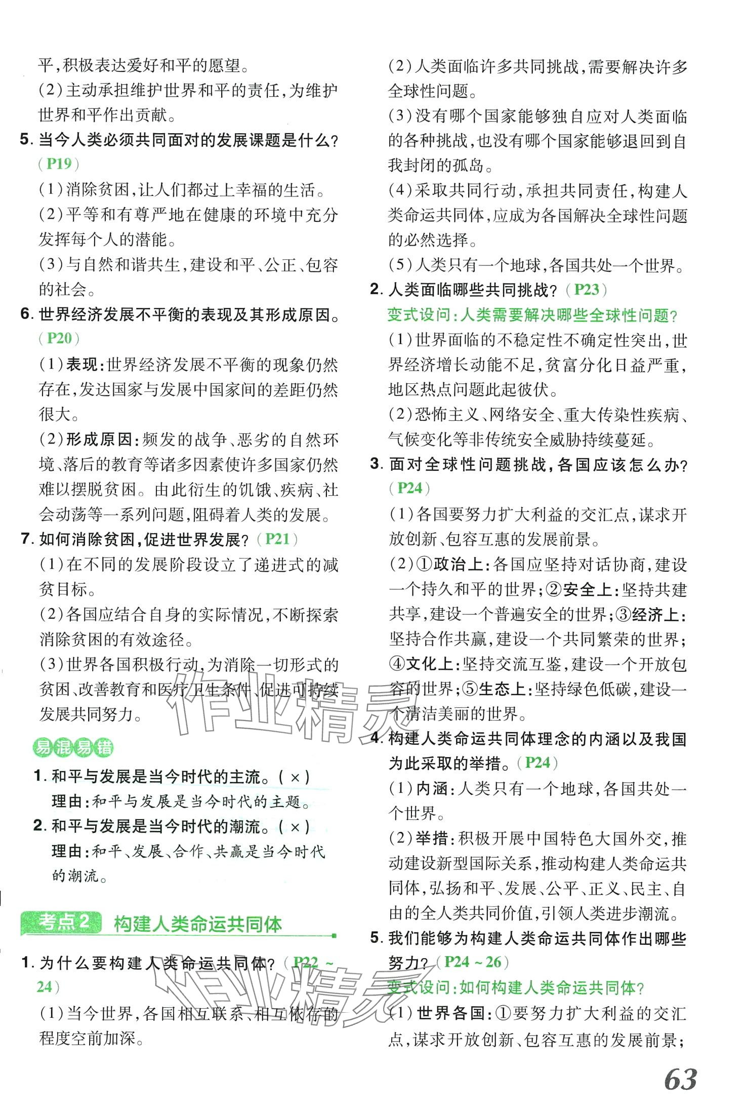 2024年領(lǐng)揚文化中考研究道德與法治河南專版 第63頁