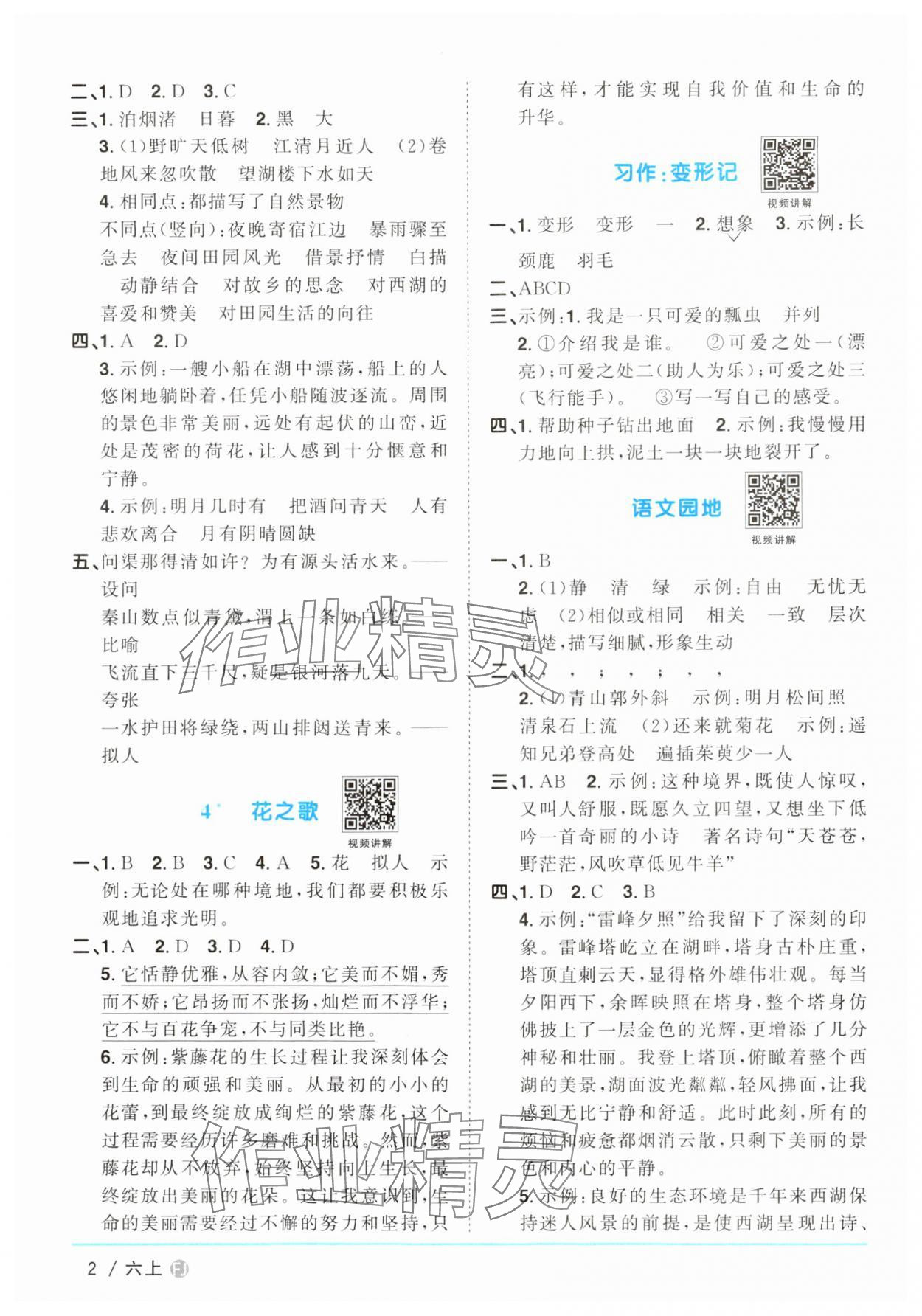 2024年阳光同学课时优化作业六年级语文上册人教版福建专版 参考答案第2页