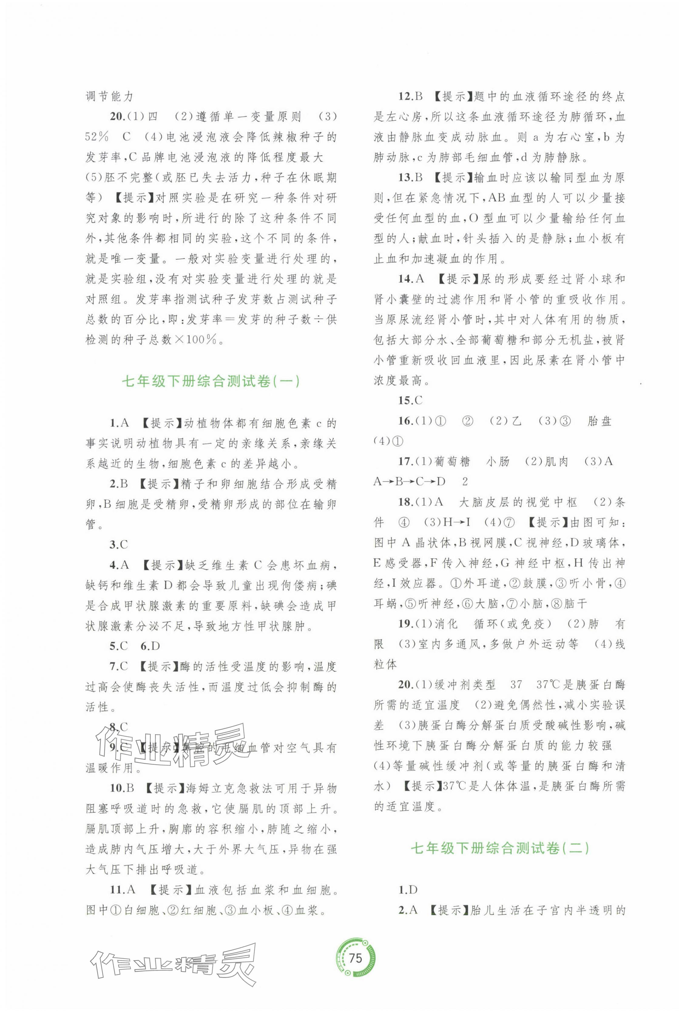 2024年中考先鋒中考總復(fù)習(xí)配套測(cè)試卷生物A版 第3頁(yè)