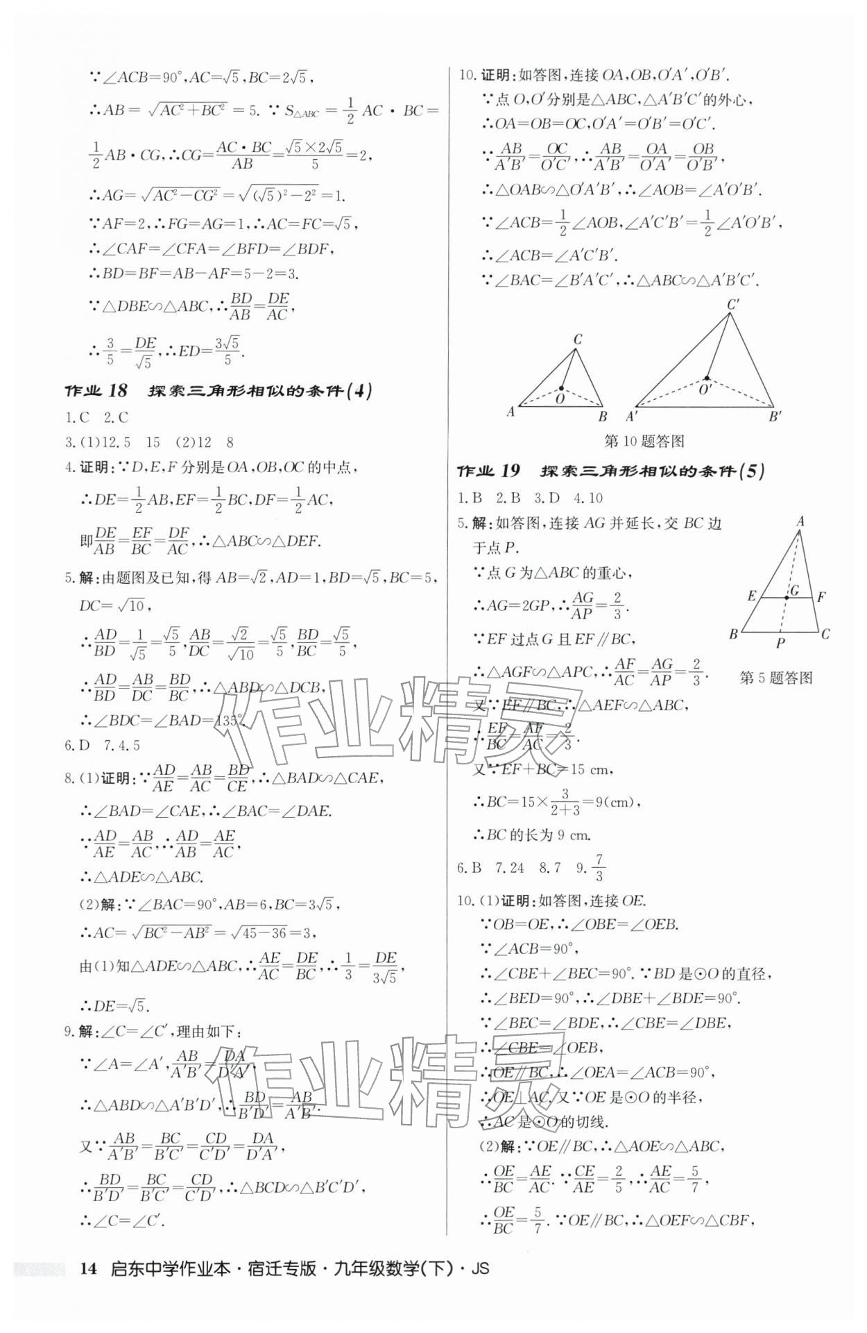 2026年启东中学作业本九年级数学下册苏科版宿迁专版 第14页