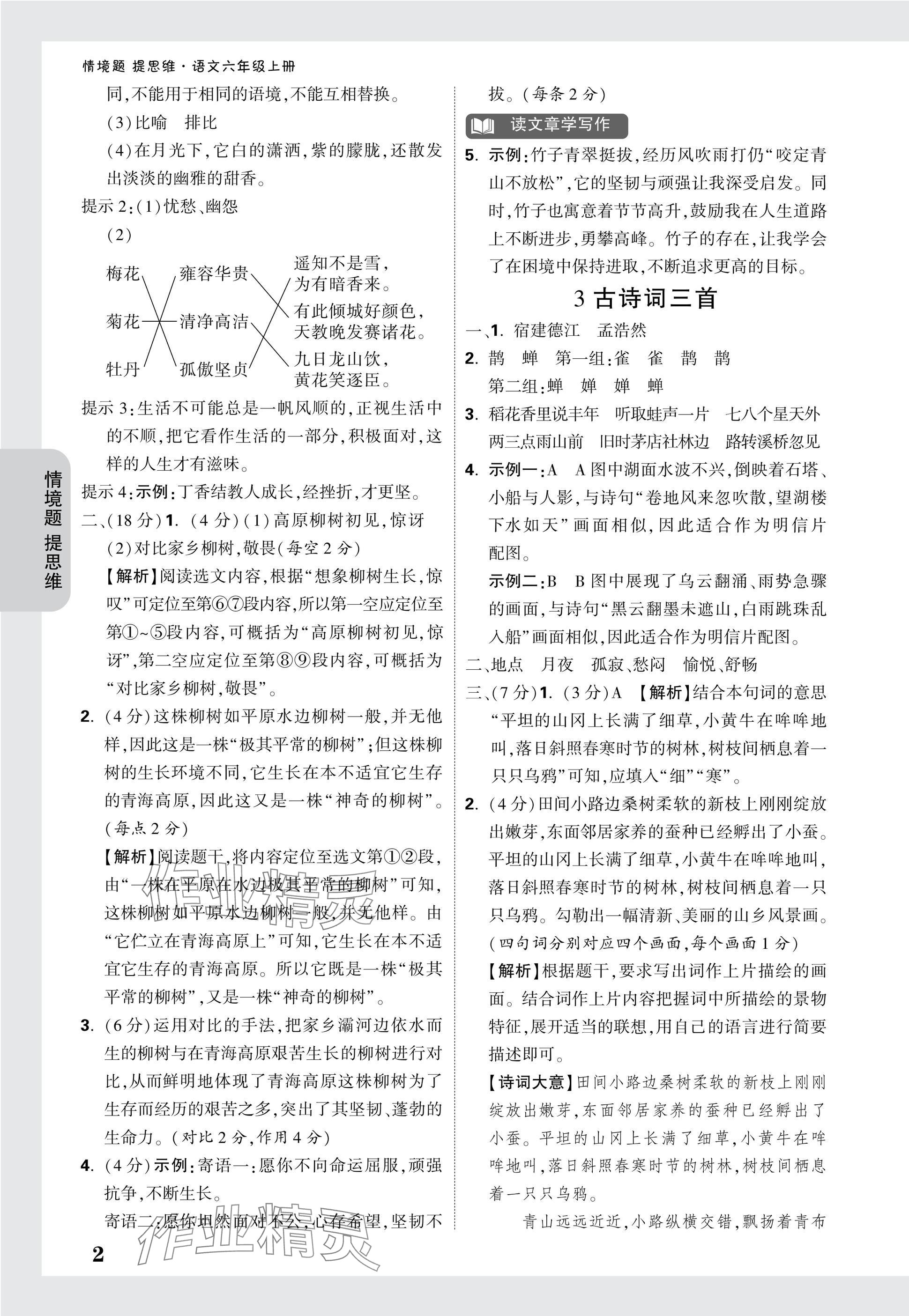 2024年小白鷗情境題六年級語文上冊人教版 參考答案第2頁