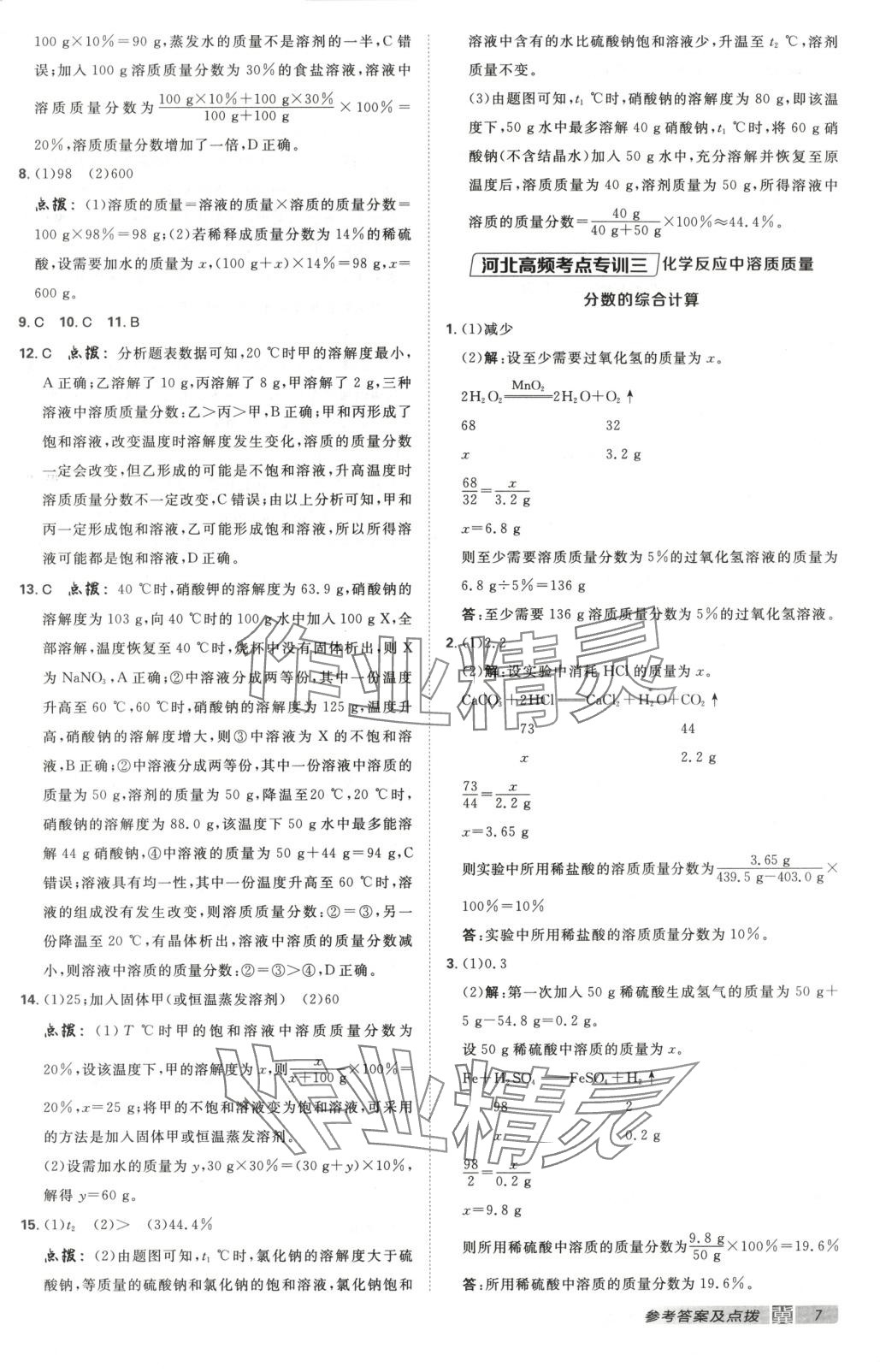 2025年點撥訓(xùn)練九年級化學(xué)下冊人教版河北專版 第7頁
