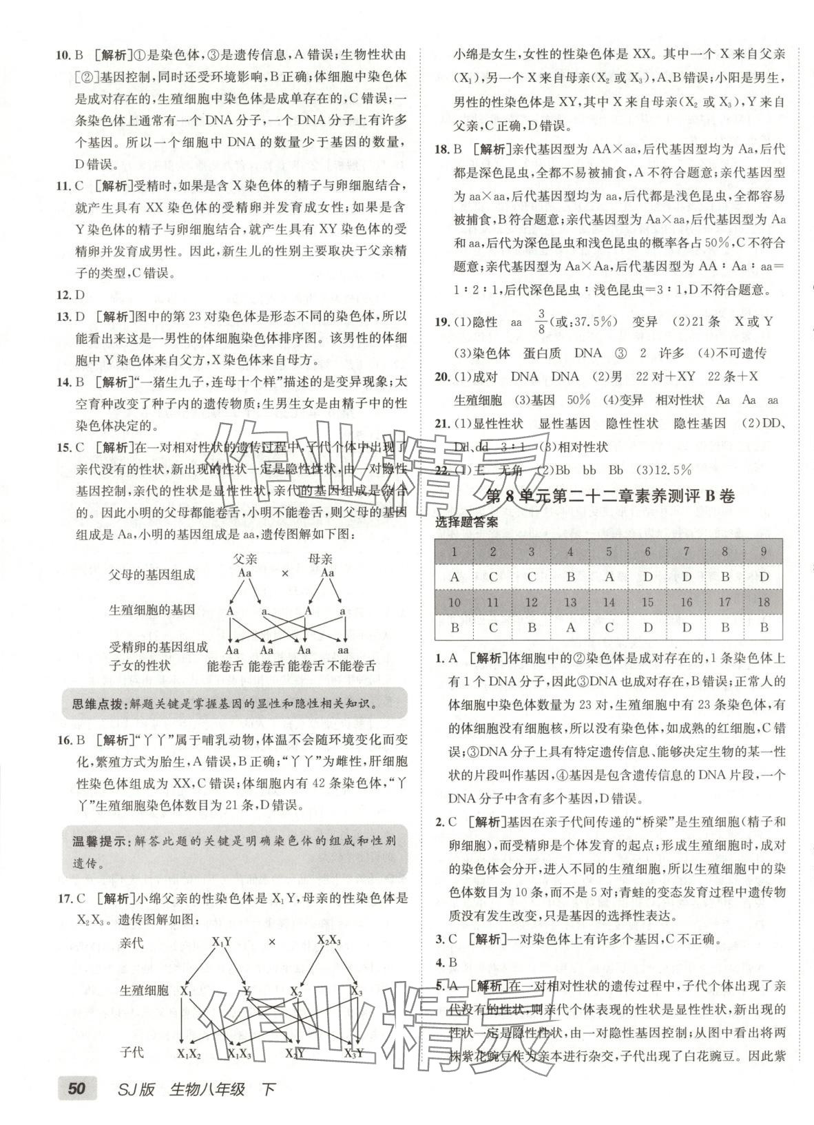 2025年海淀單元測試AB卷八年級生物下冊蘇教版&nbsp;第3頁