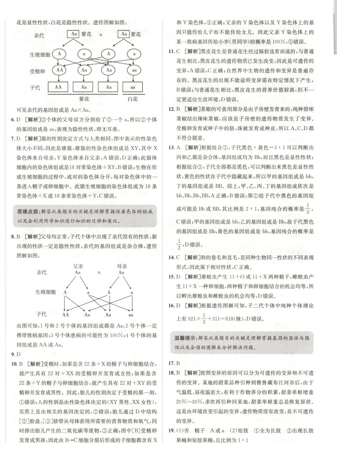 2025年海淀單元測試AB卷八年級生物下冊蘇教版&nbsp;第4頁