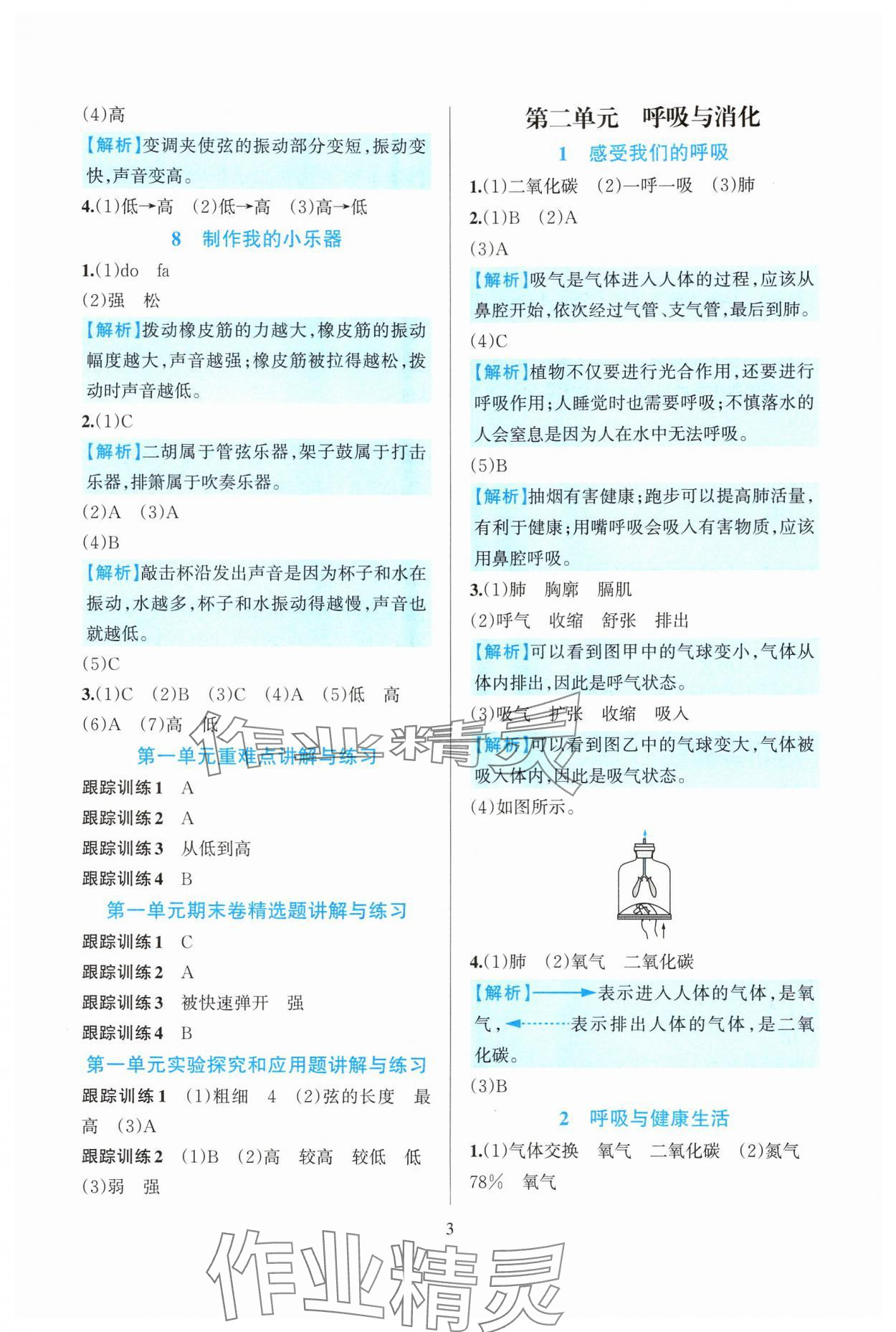 2024年全優(yōu)方案夯實(shí)與提高四年級(jí)科學(xué)上冊(cè)教科版 參考答案第3頁(yè)